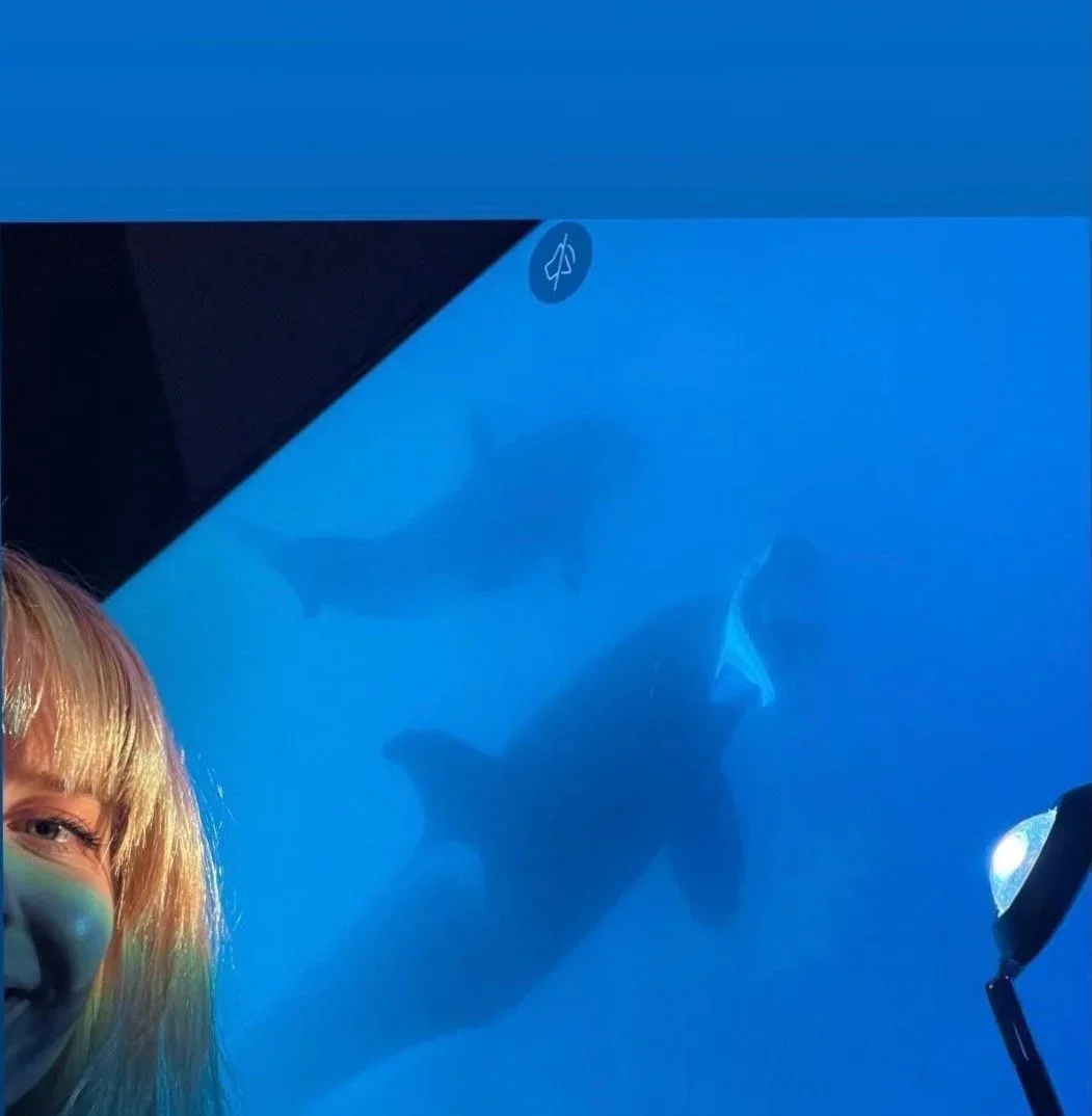 IMG_9120- album art idea.jpg