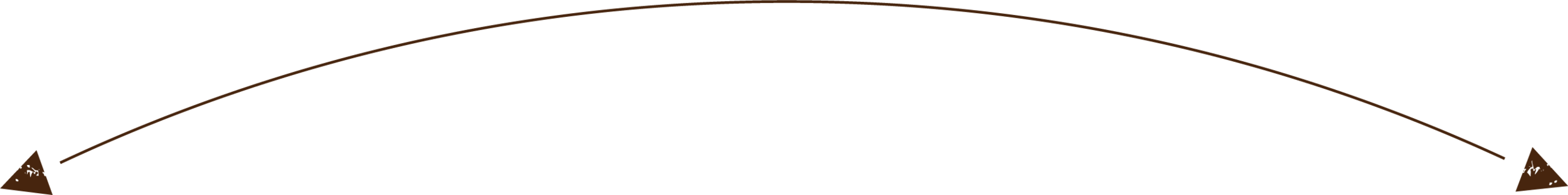 FRW-CurvyArrow-Brown.png