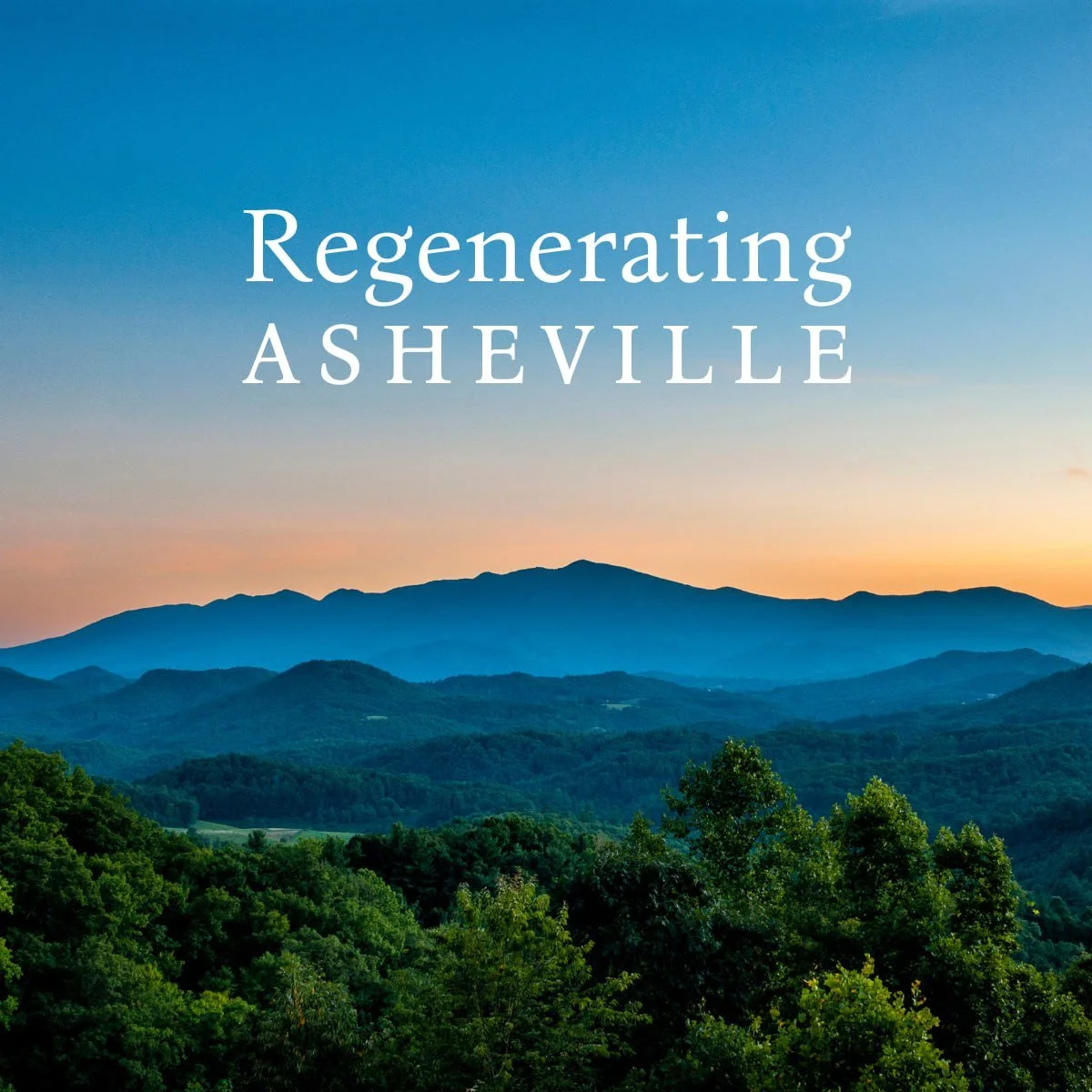 photo_2025-01-12 14.15.10.jpeg