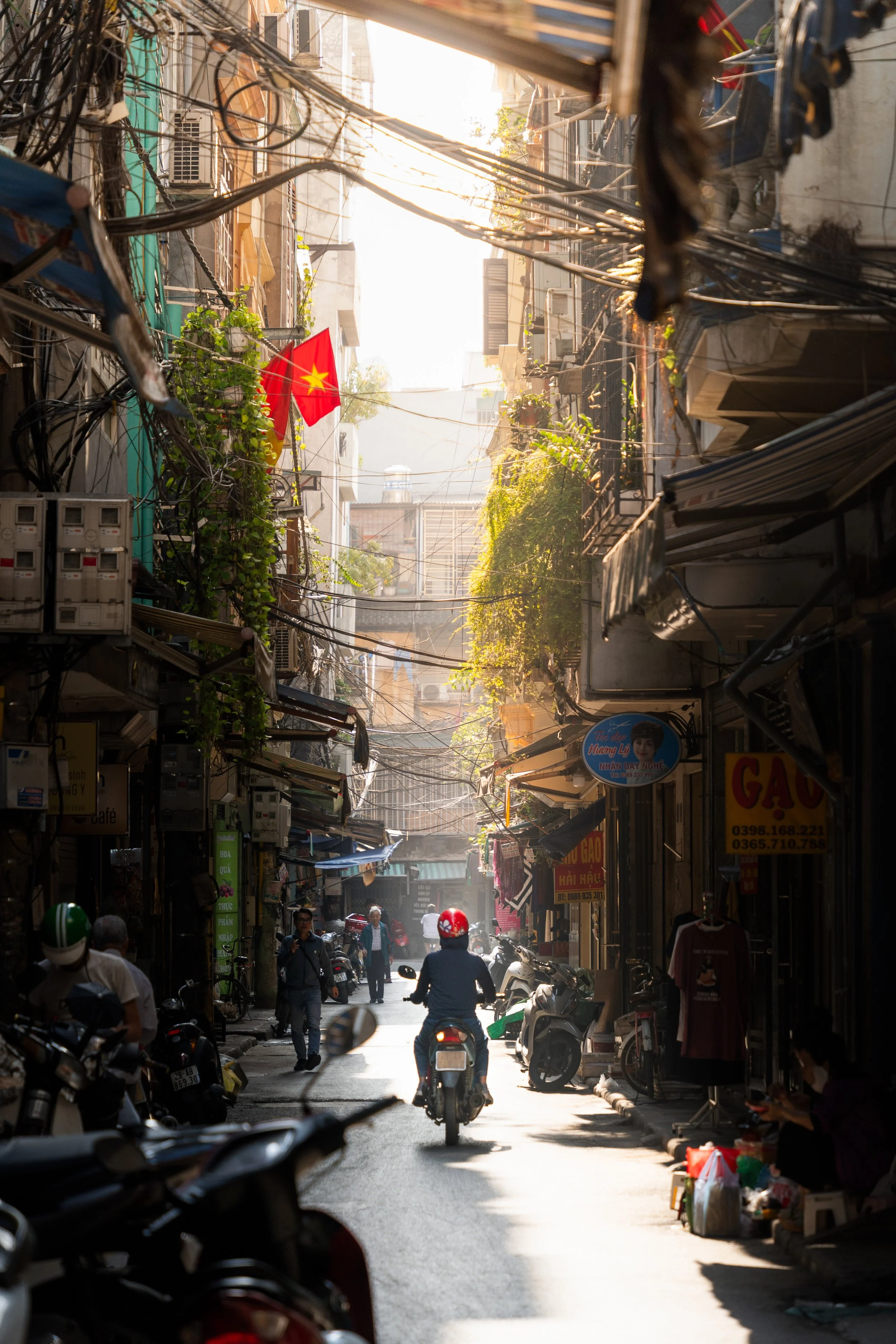 DSC03918-Edit-2.jpg