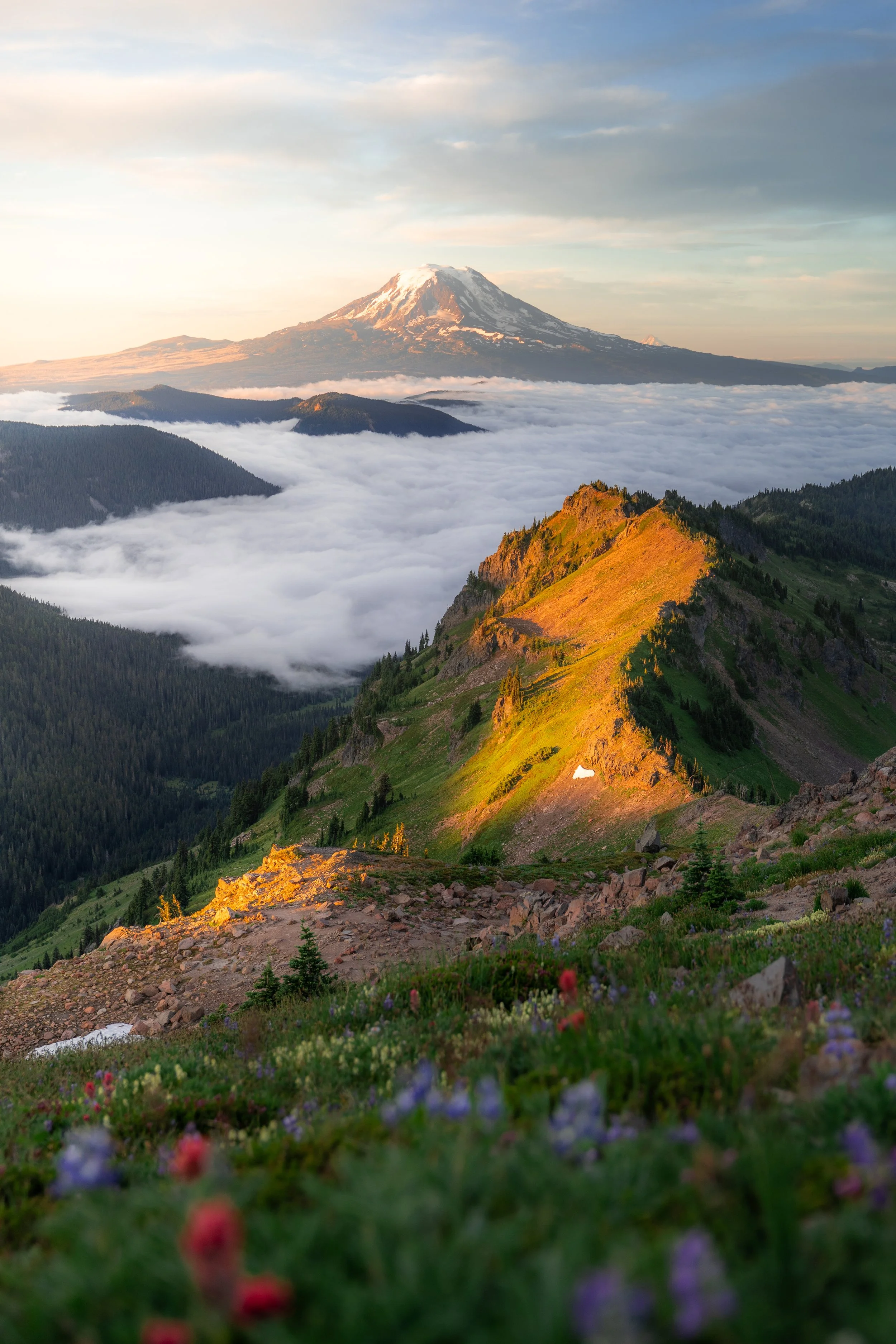 Washington, USA