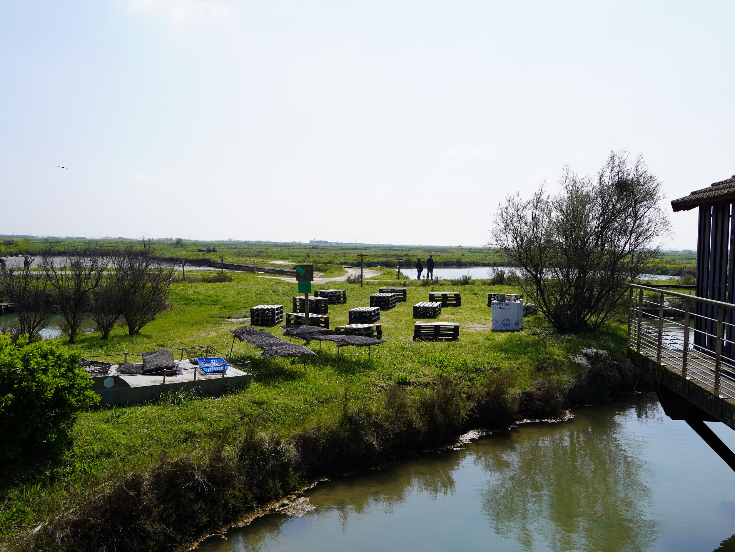 DSC02850.JPG