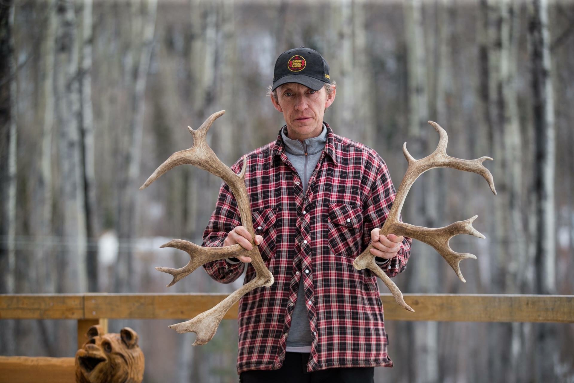 Portrait Caribou.JPG