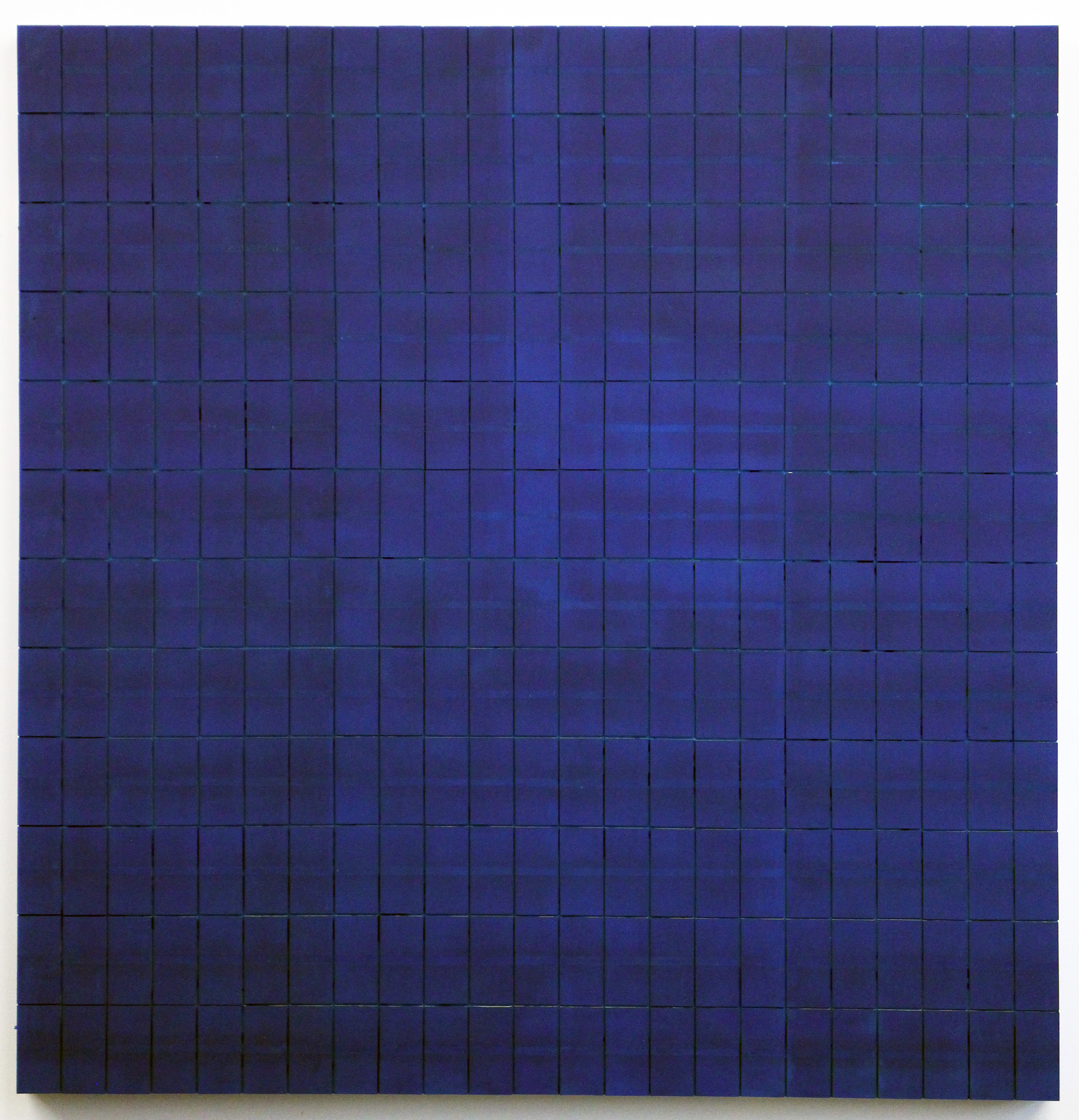Blue Homograph