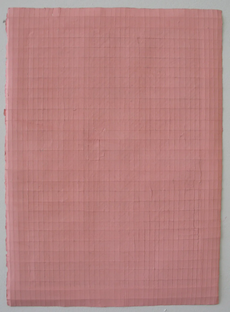 Pink 1/4 x 1/2" 4.21.13