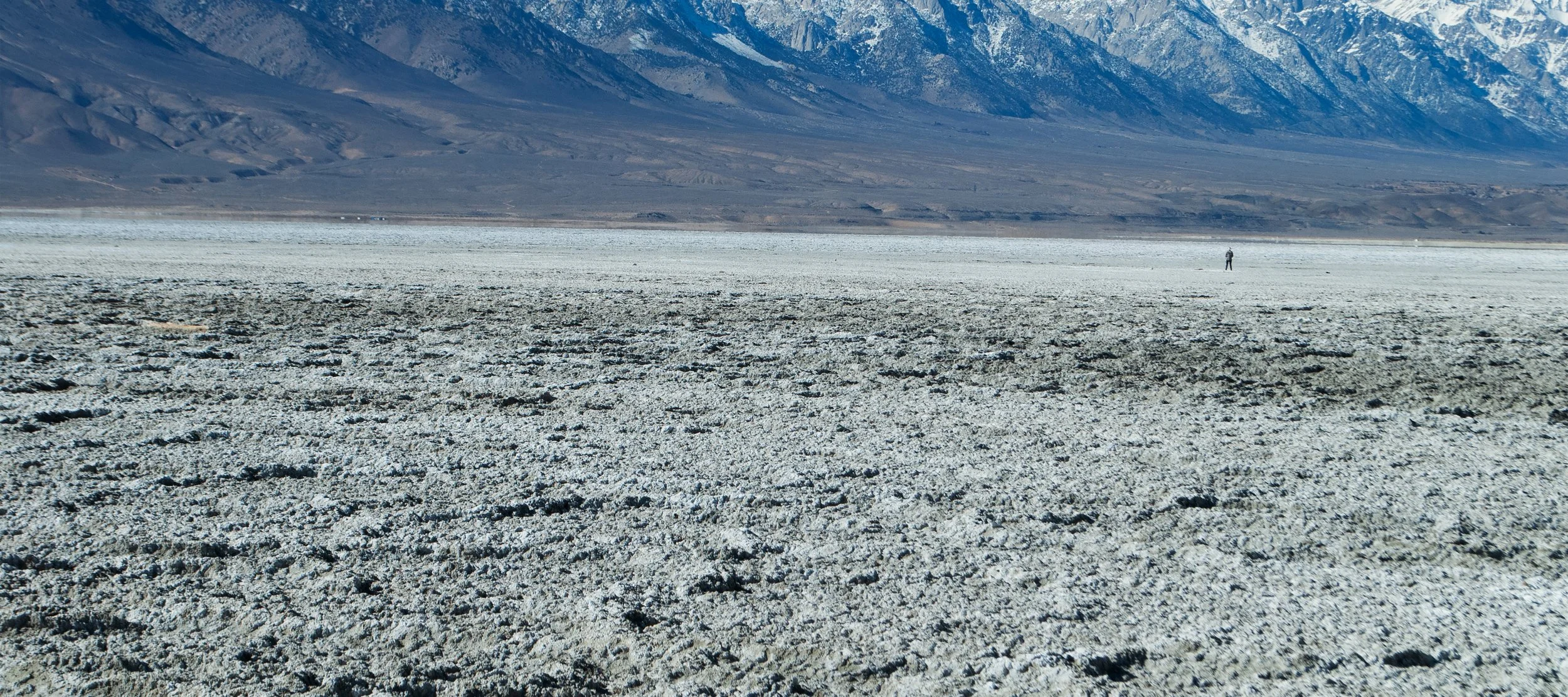 DSC_5000.jpg