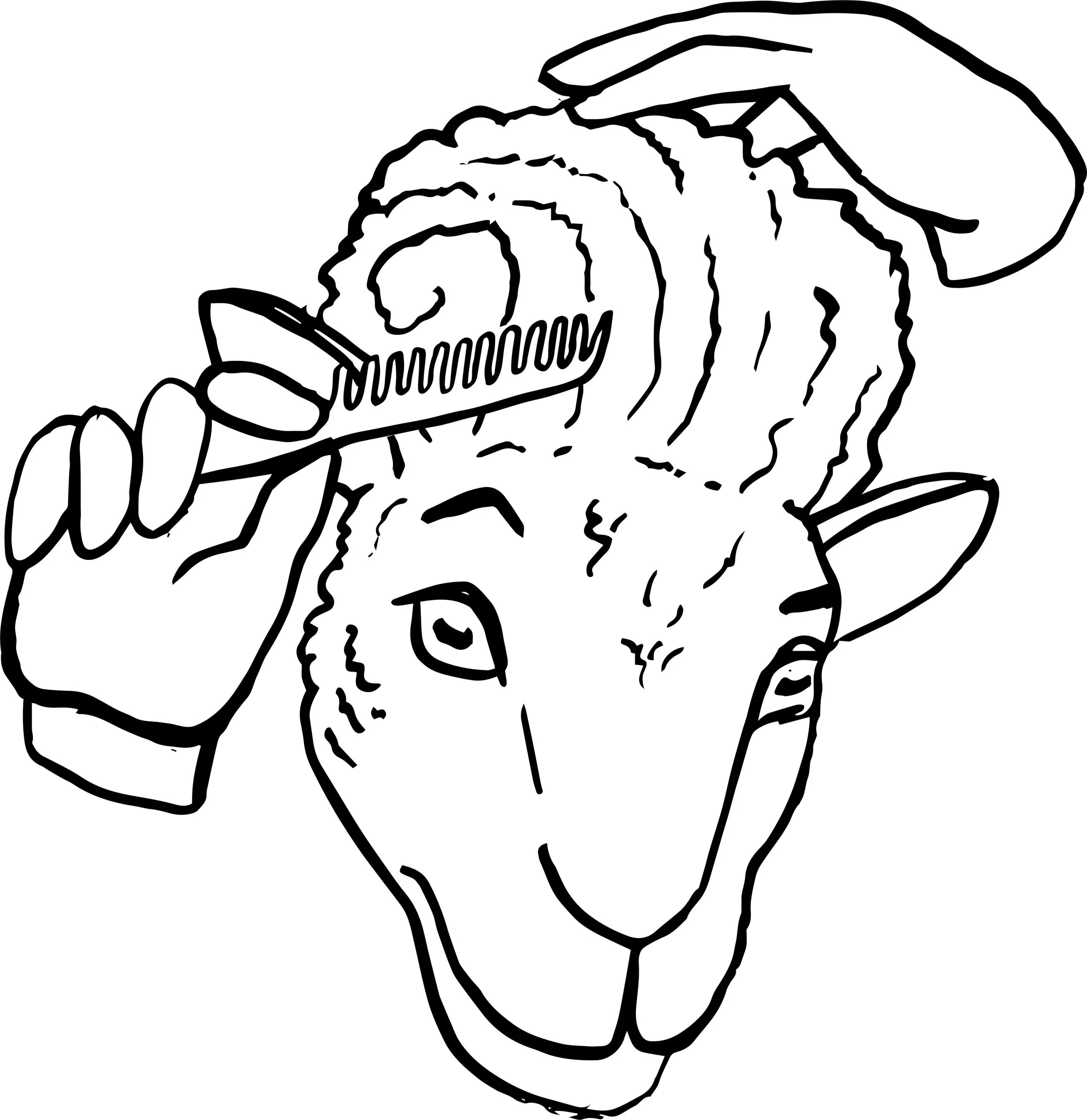 JennyStuttard_Wahaca_Illustration_lamb-01.jpg