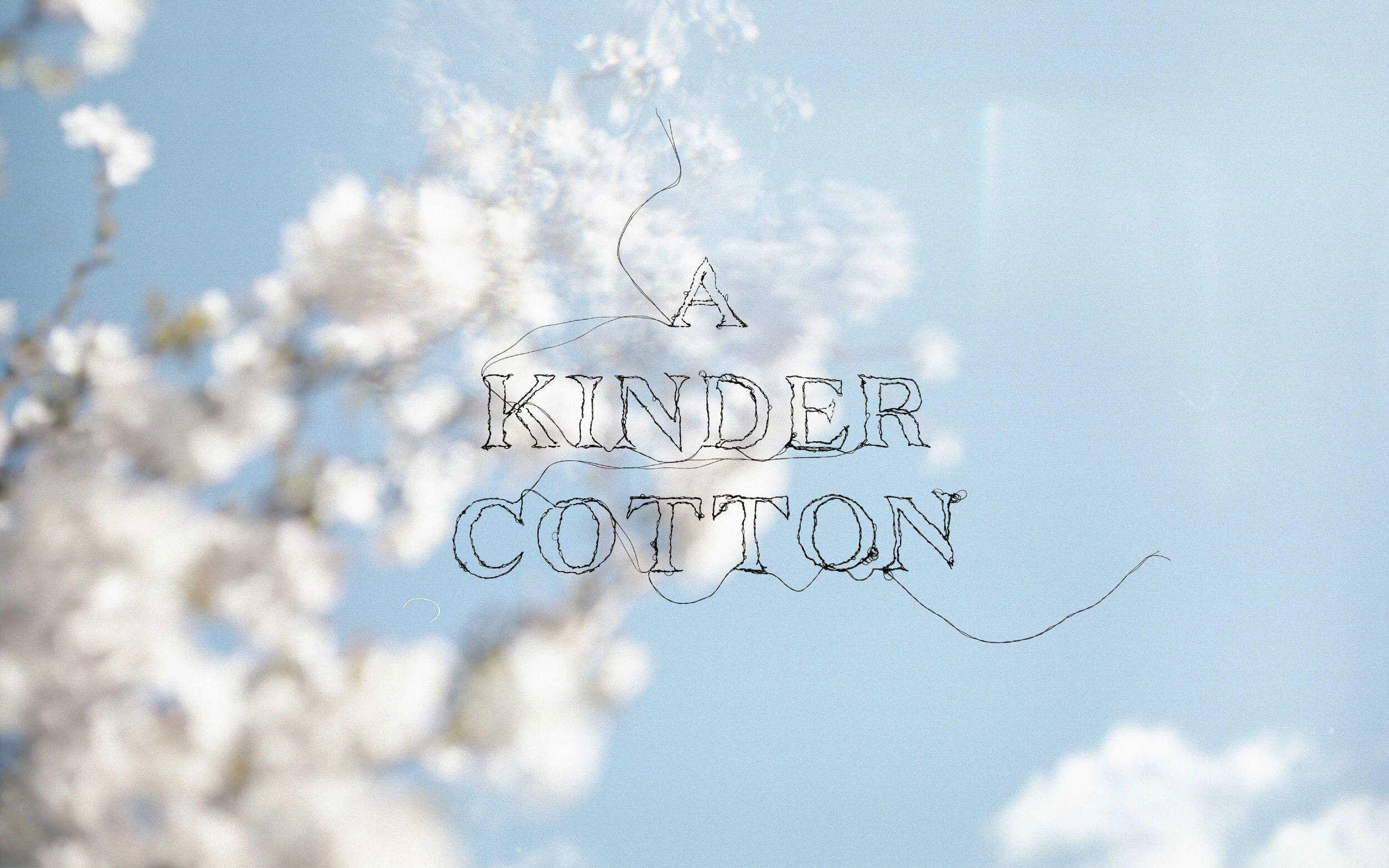 Kinder Cotton Header-01-2.jpg
