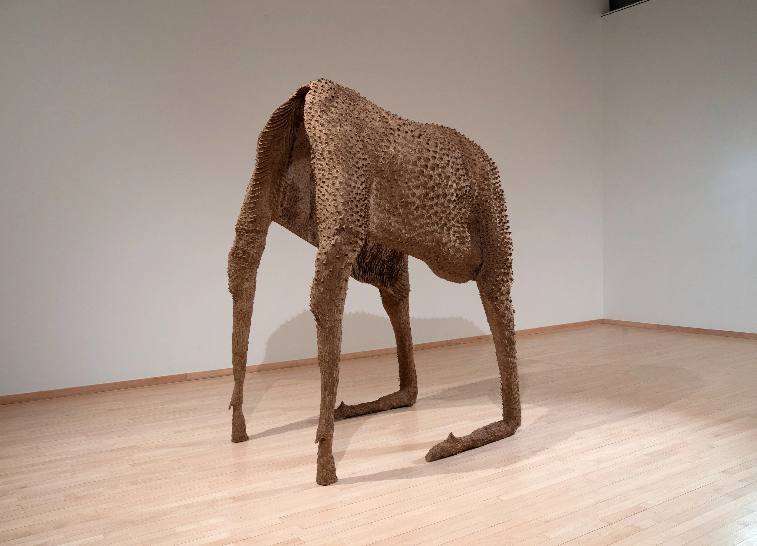 moose from another angle.jpg