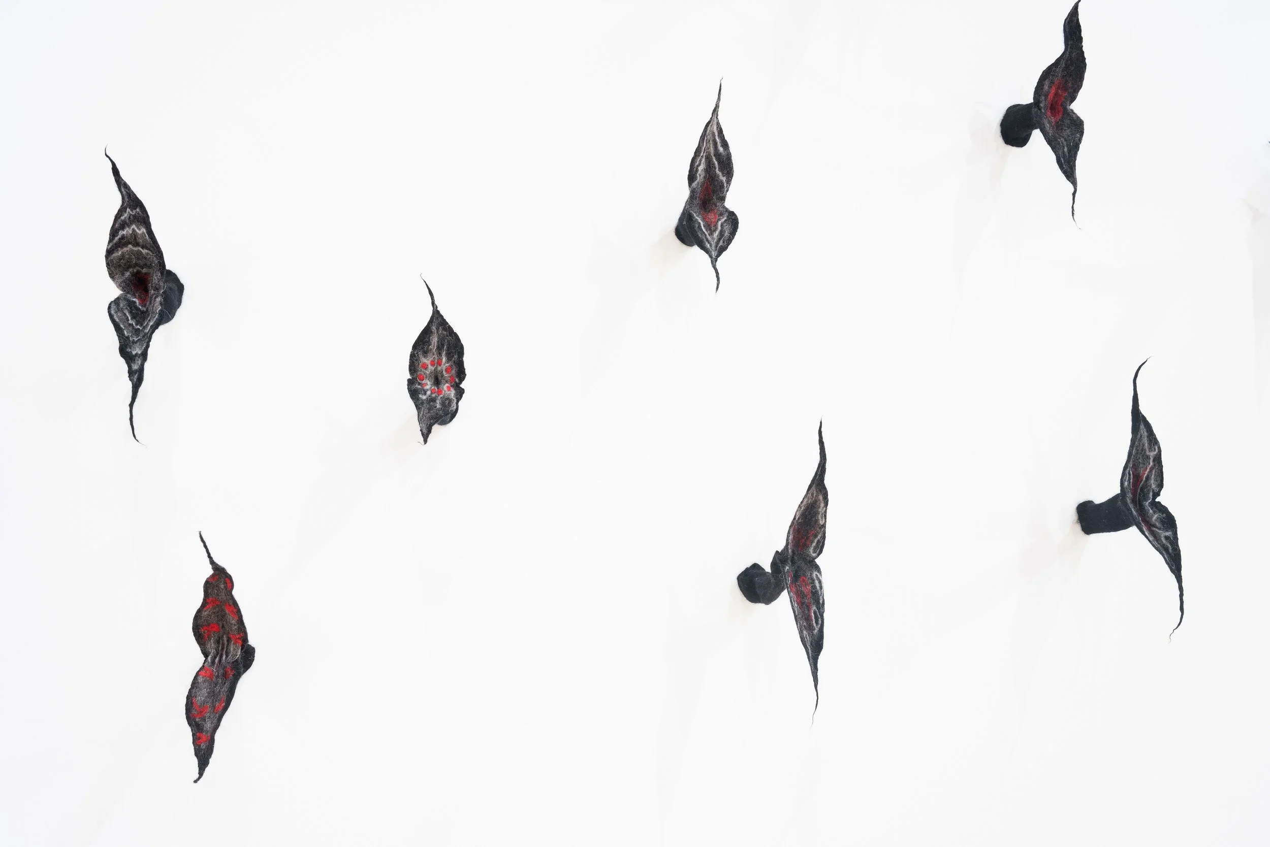 beaks up close 5 mg.jpg