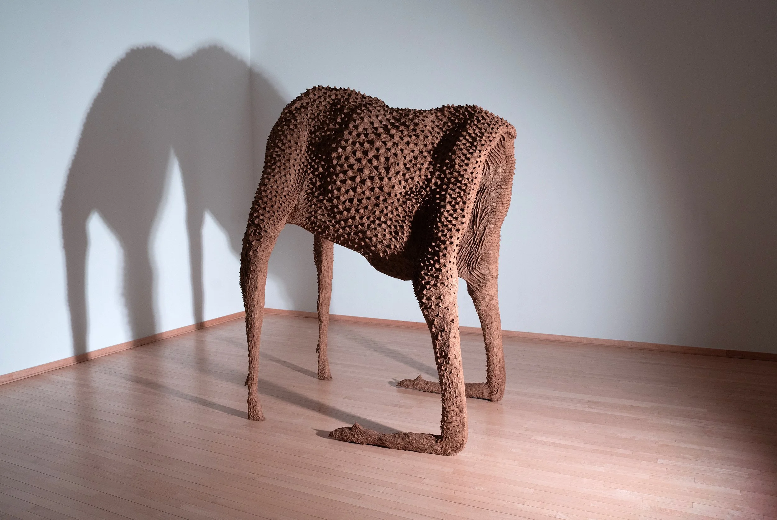 even more dramatic moose 5mg.jpg