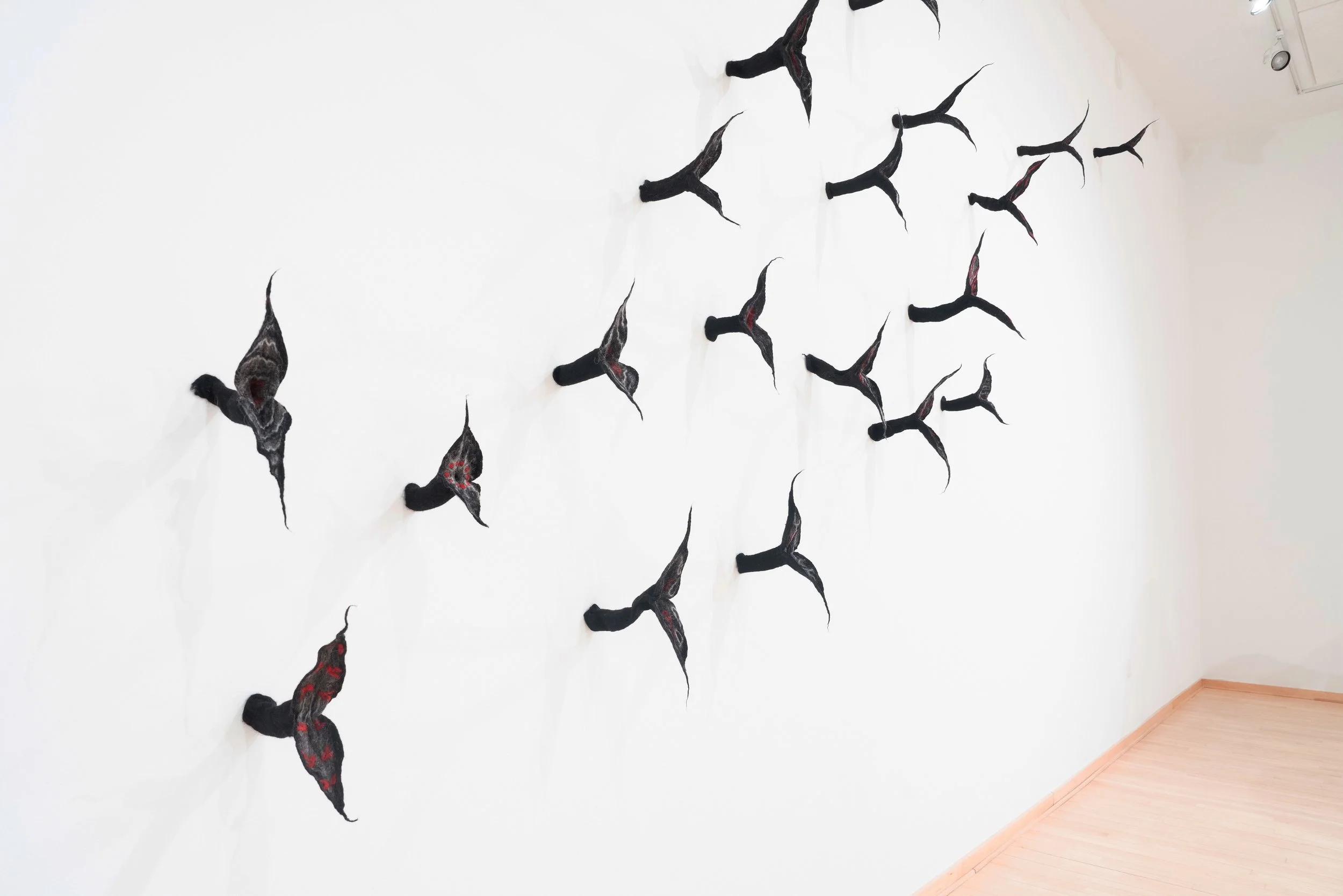 Birds beaks from side view 5mg.jpg