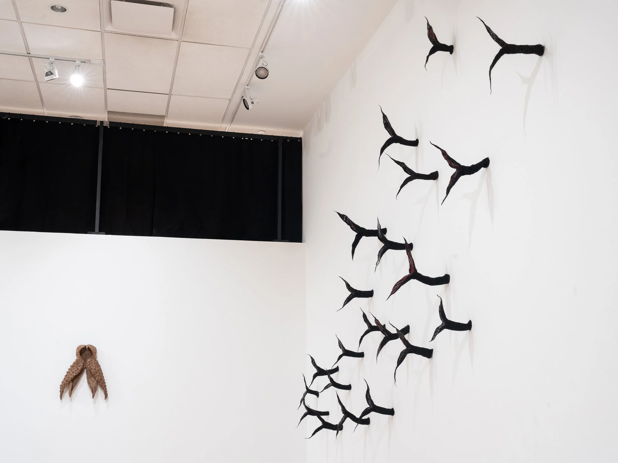 birds behemoth 5 mg.jpg