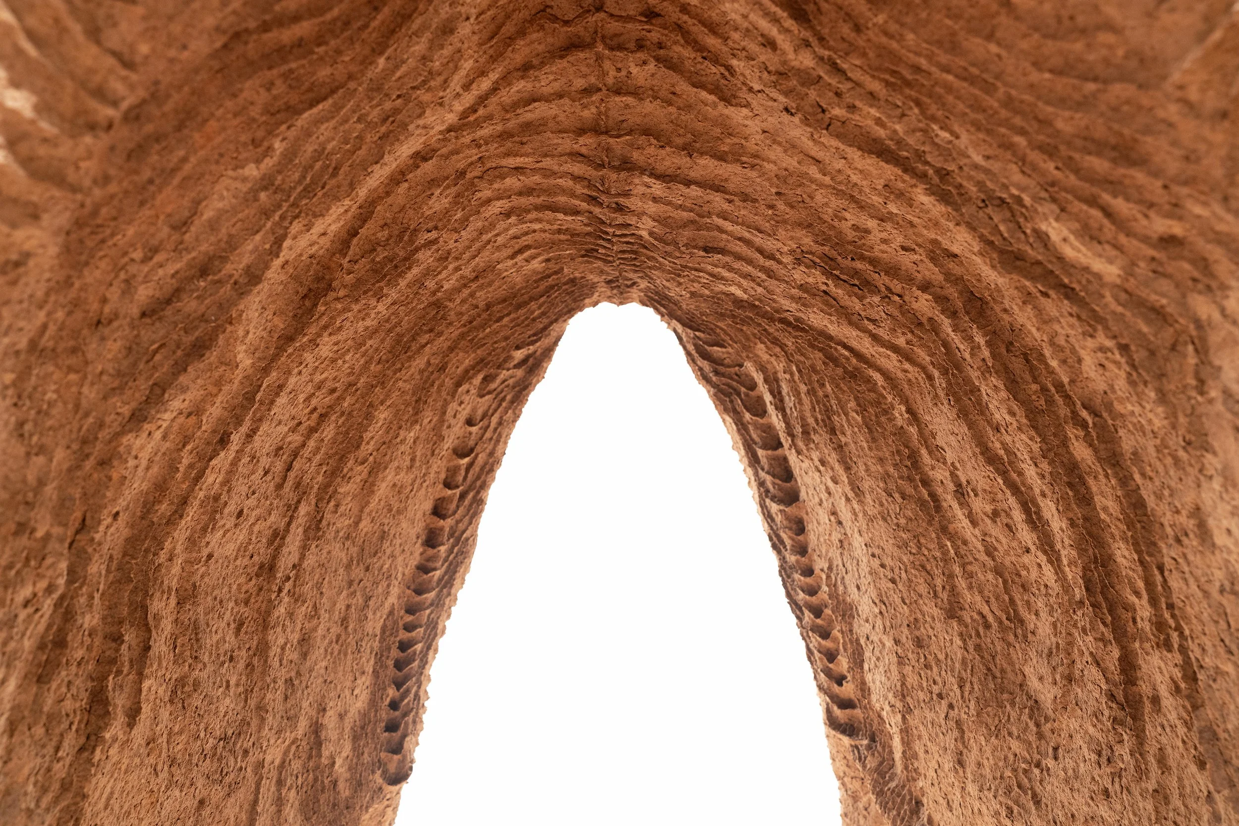 moose inside from front_ 5 mg.jpg