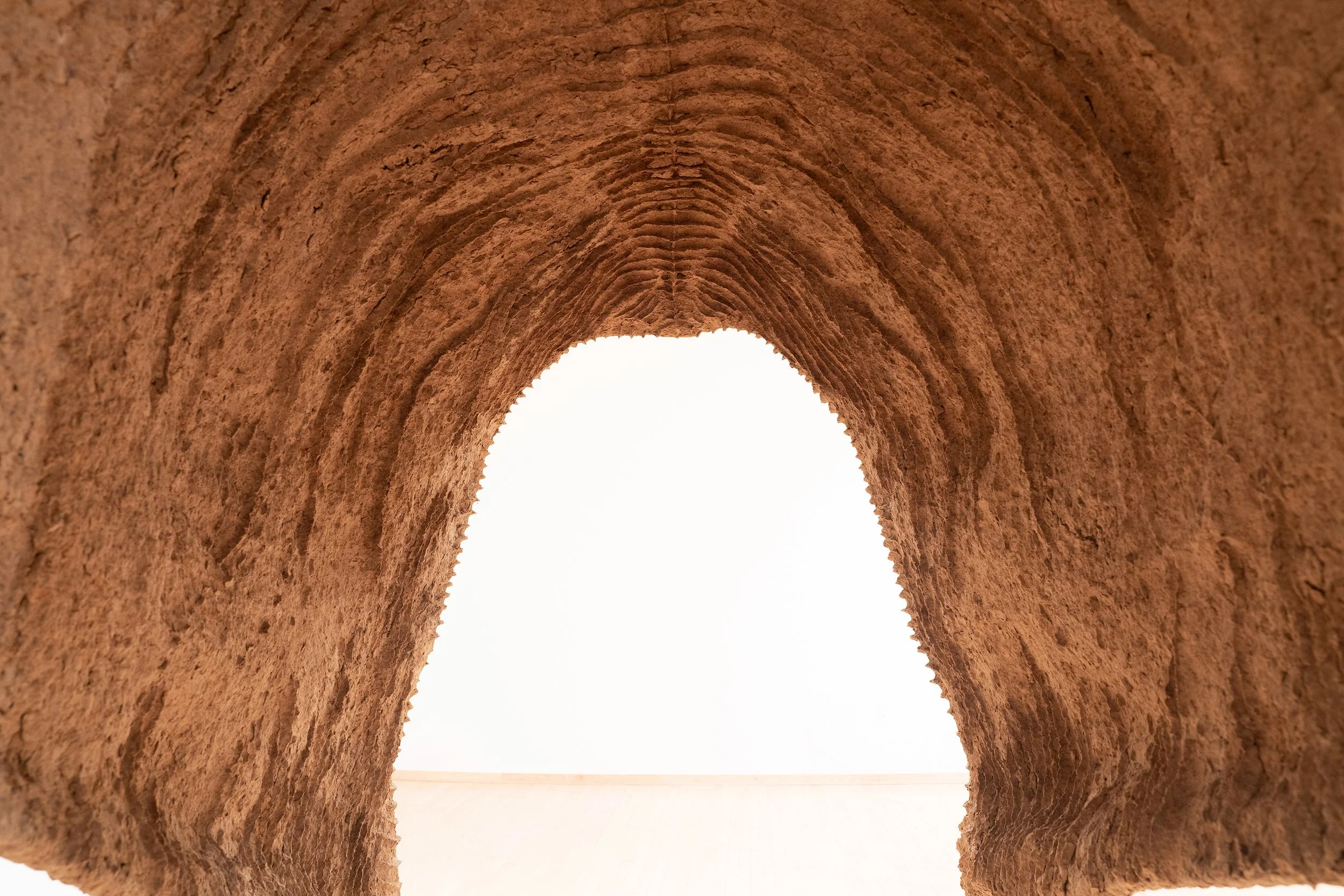 moose inside from butt 5 mg.jpg