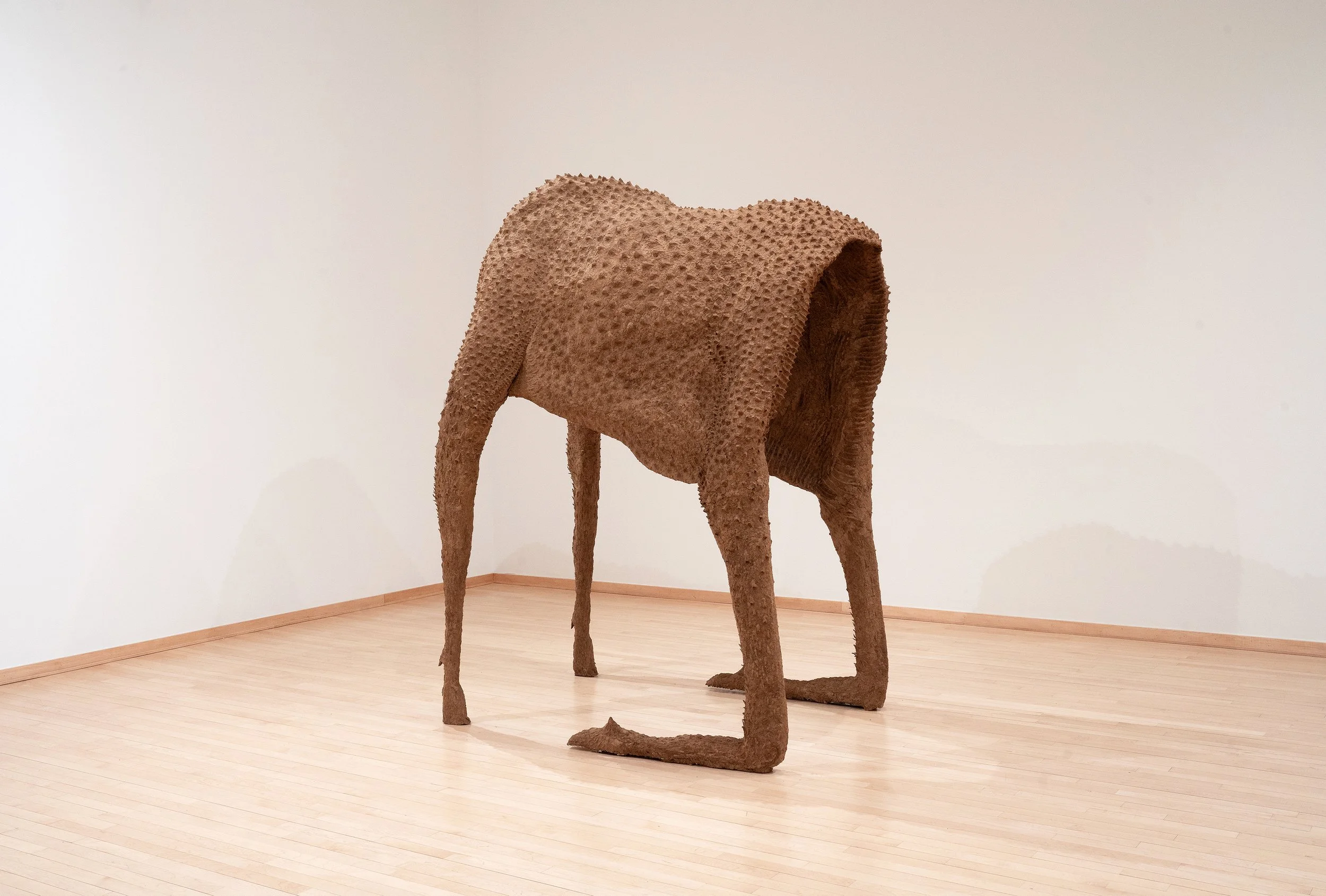 Moose Front View normal Lighting 5 mg.jpg