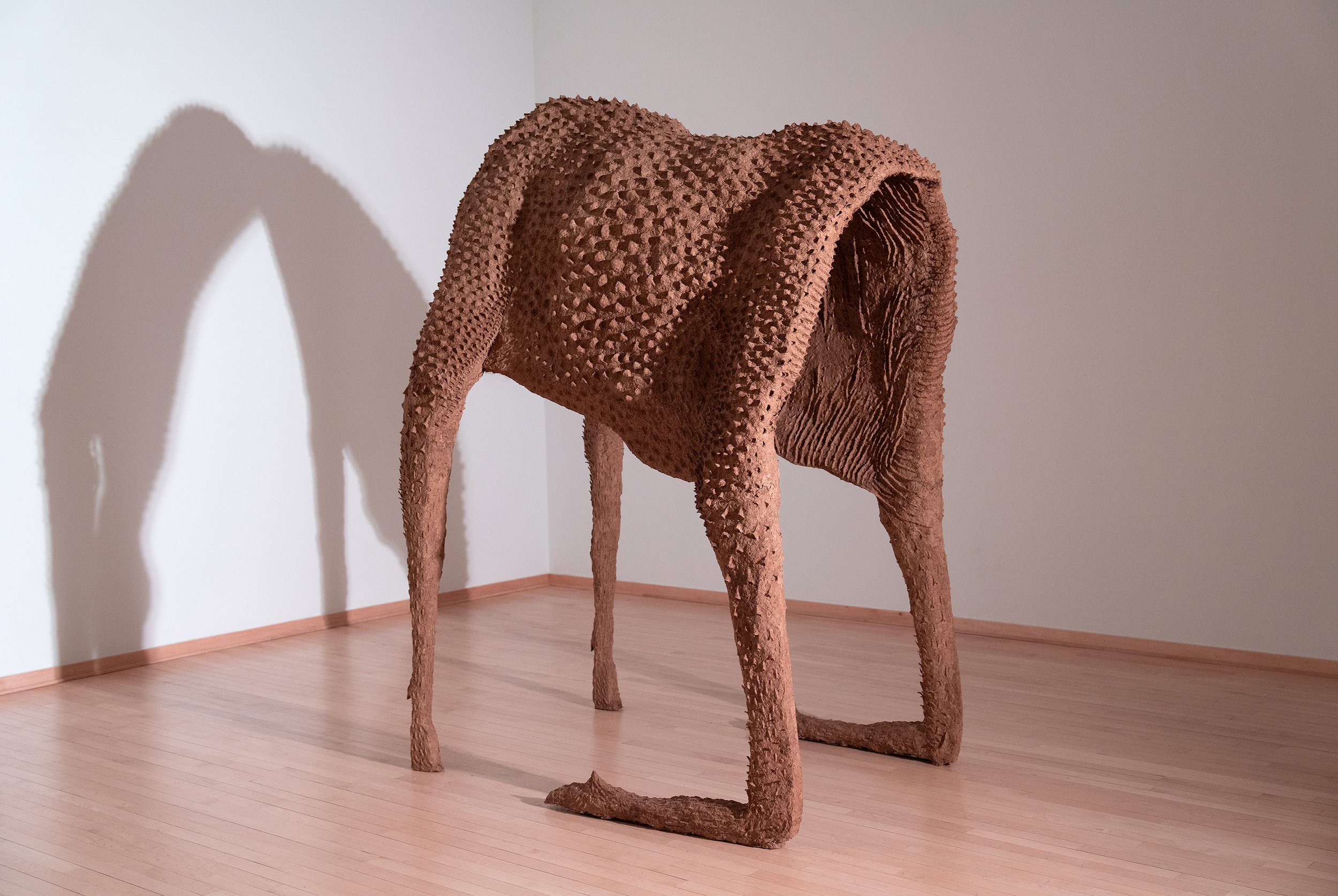 Moose dramatic lighting 5 mg.jpg