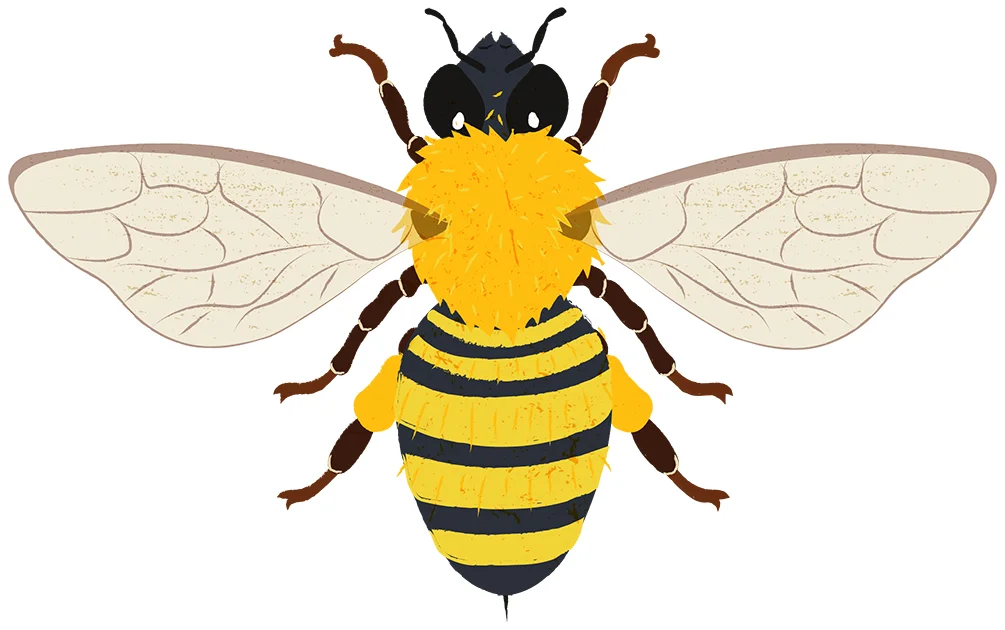 Bee