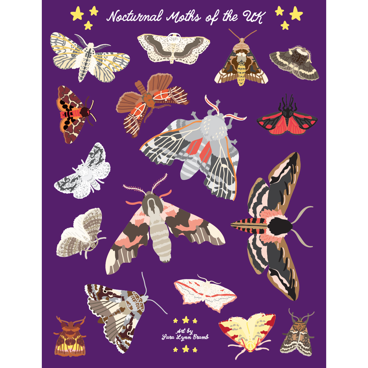 Night Explorer Book