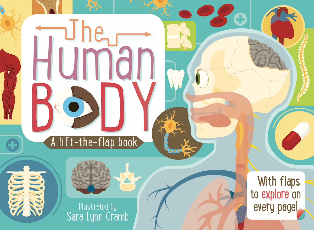 The Human Body illustrations
