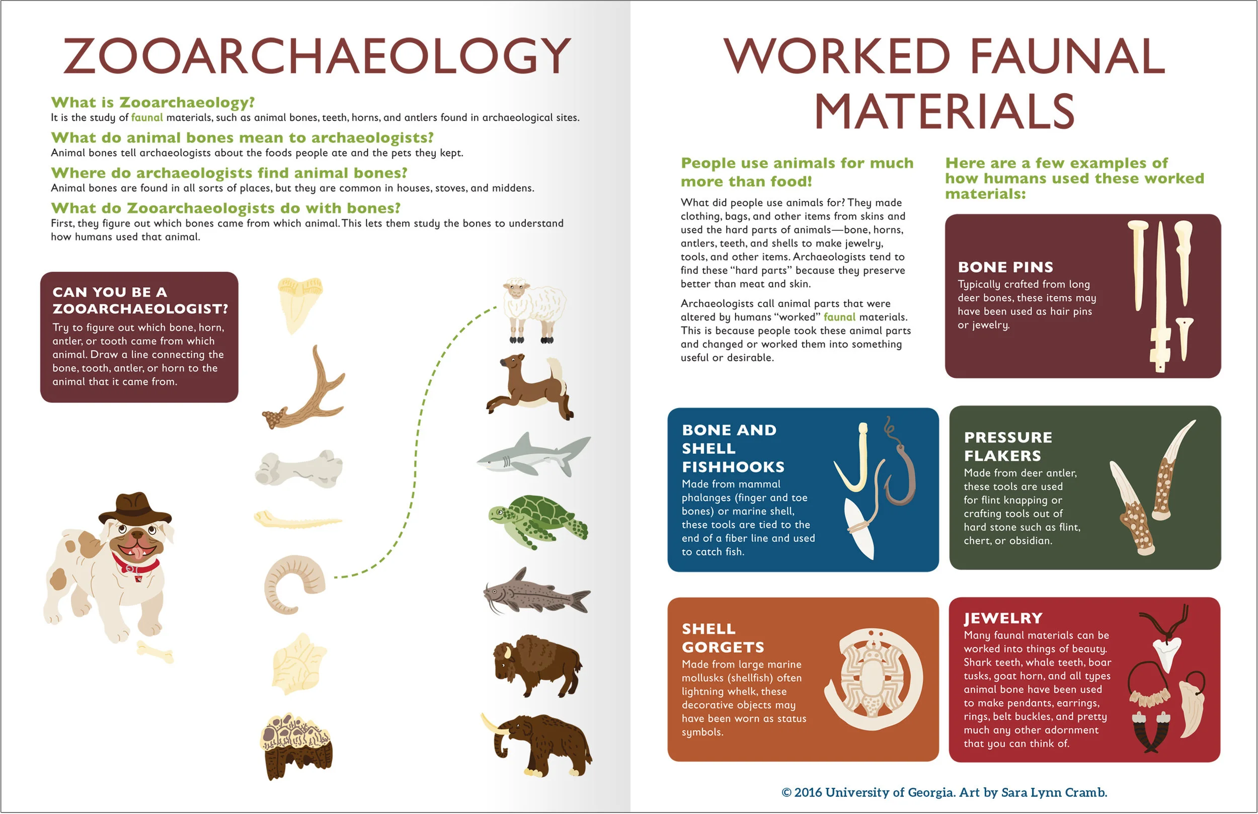 Zooarchaeology