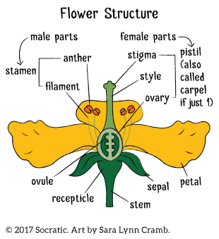 a9ec20bc-ffd4-44b5-a958-6aa76ec63634_rw_600.png