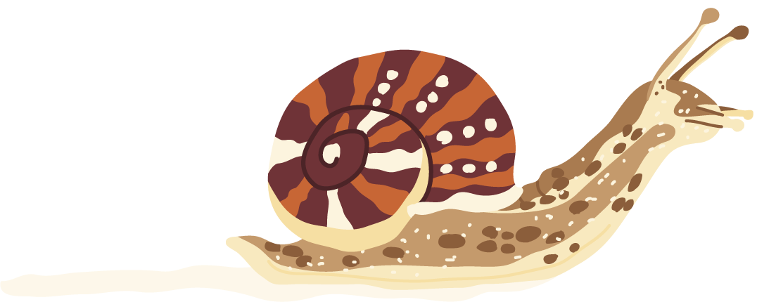 Snail.png
