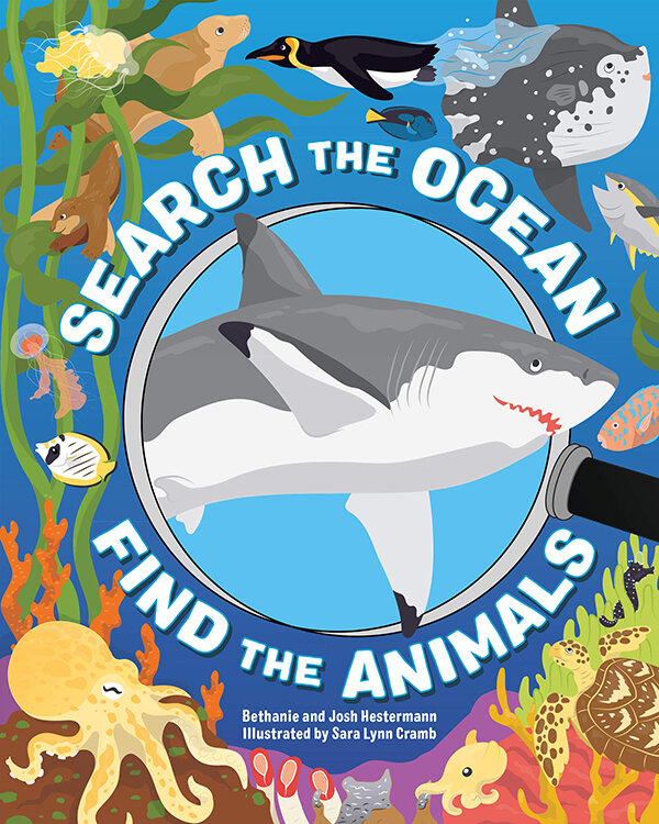 Ocean Search and Find