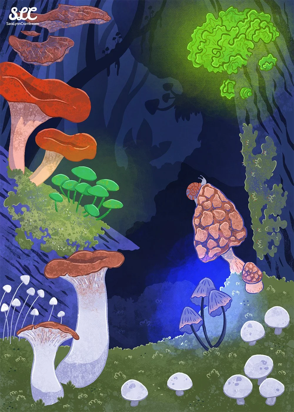 Portfolio Development