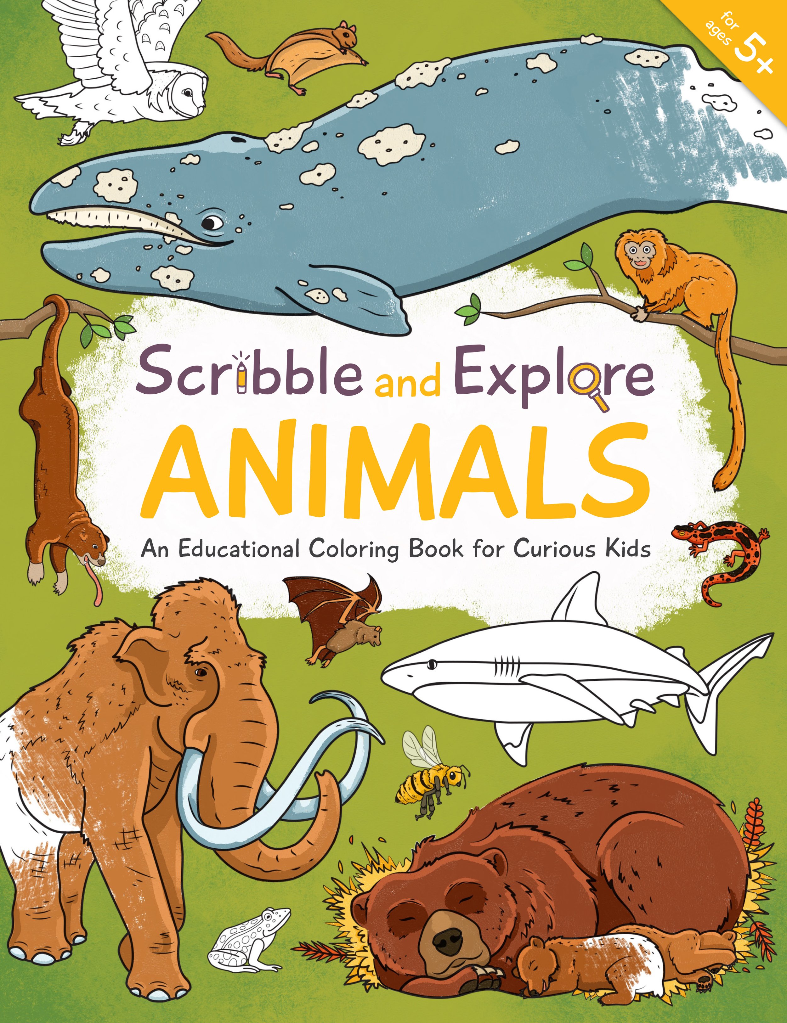 Scribble and Explore Animals