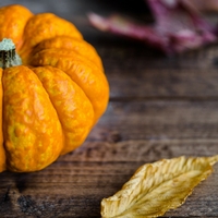 
4 Easy Ways To Show Gratitude On Thanksgiving Day With Home Decor  