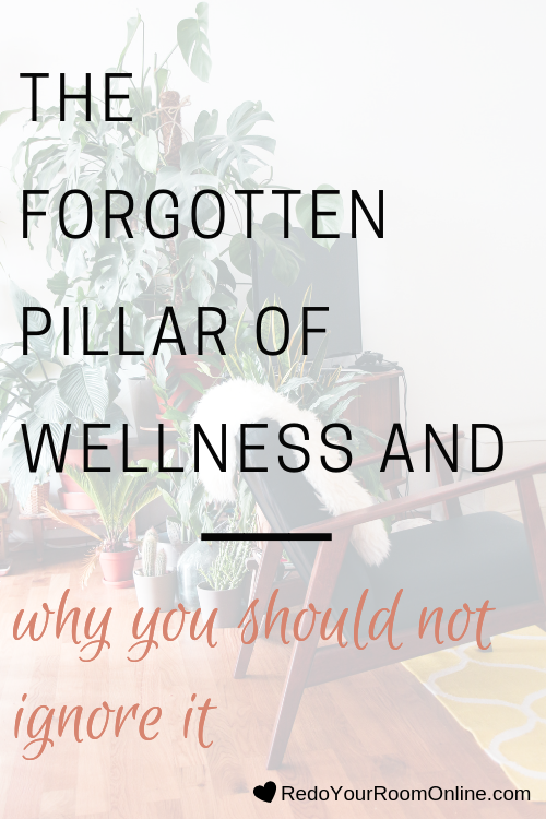 I’ve been hearing all the craze about wellness everywhere I turn, especially on social media. You know the 3 common pillars of wellness: mind, body and soul, but what’s missing is the forgotten pillar of wellness: environment!