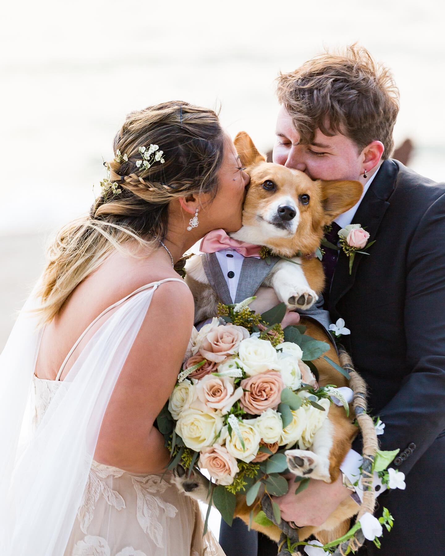 I will always woof you 🐾❤️🐾

Photography @rose_street_studio