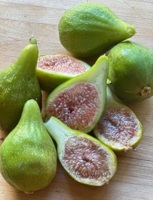 figs7:23.jpg