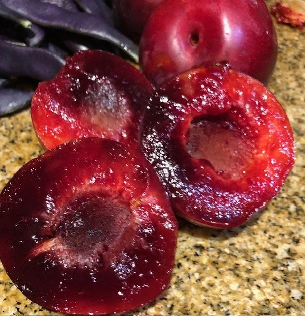 halved plums.jpg