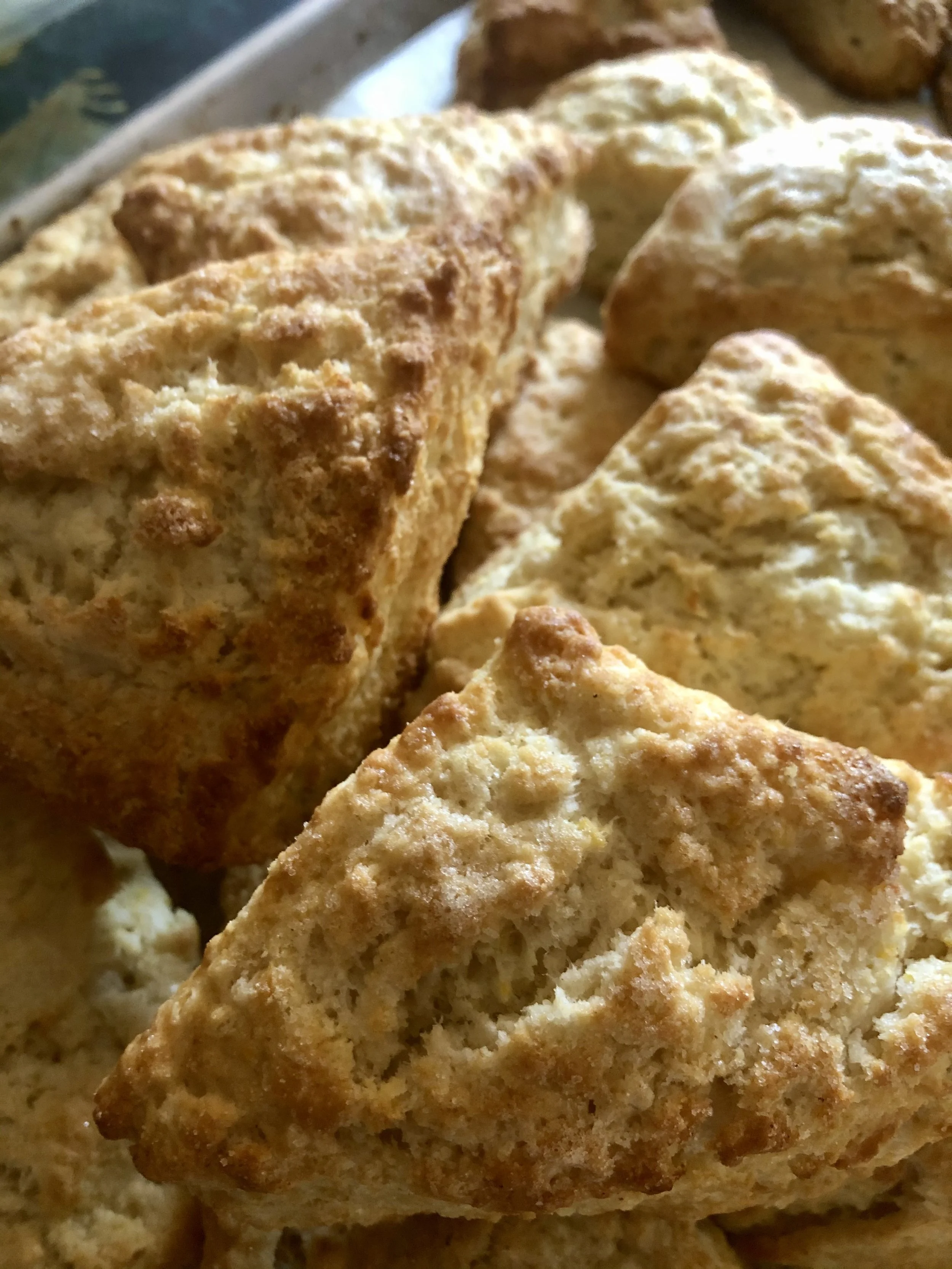 peach cornmeal scone.jpg