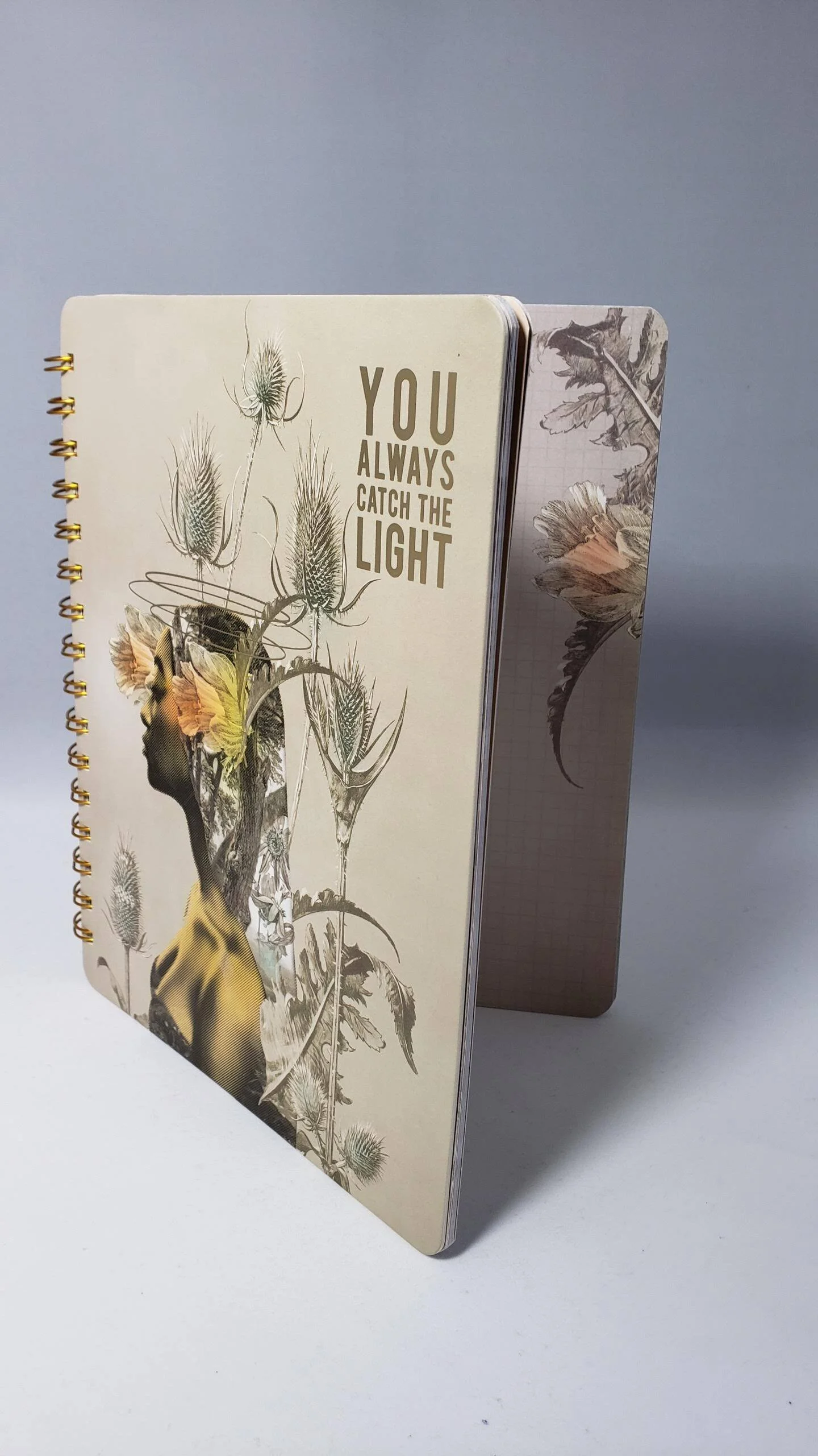 You always catch the light Journal.jpg