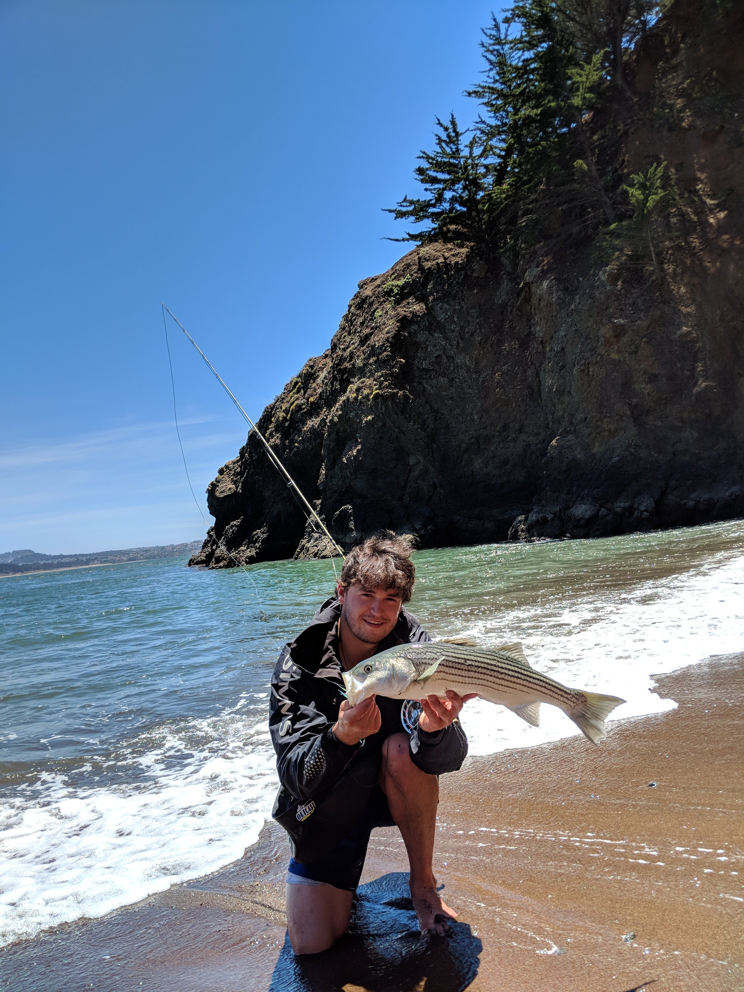 Kirby Cove Striped Bass