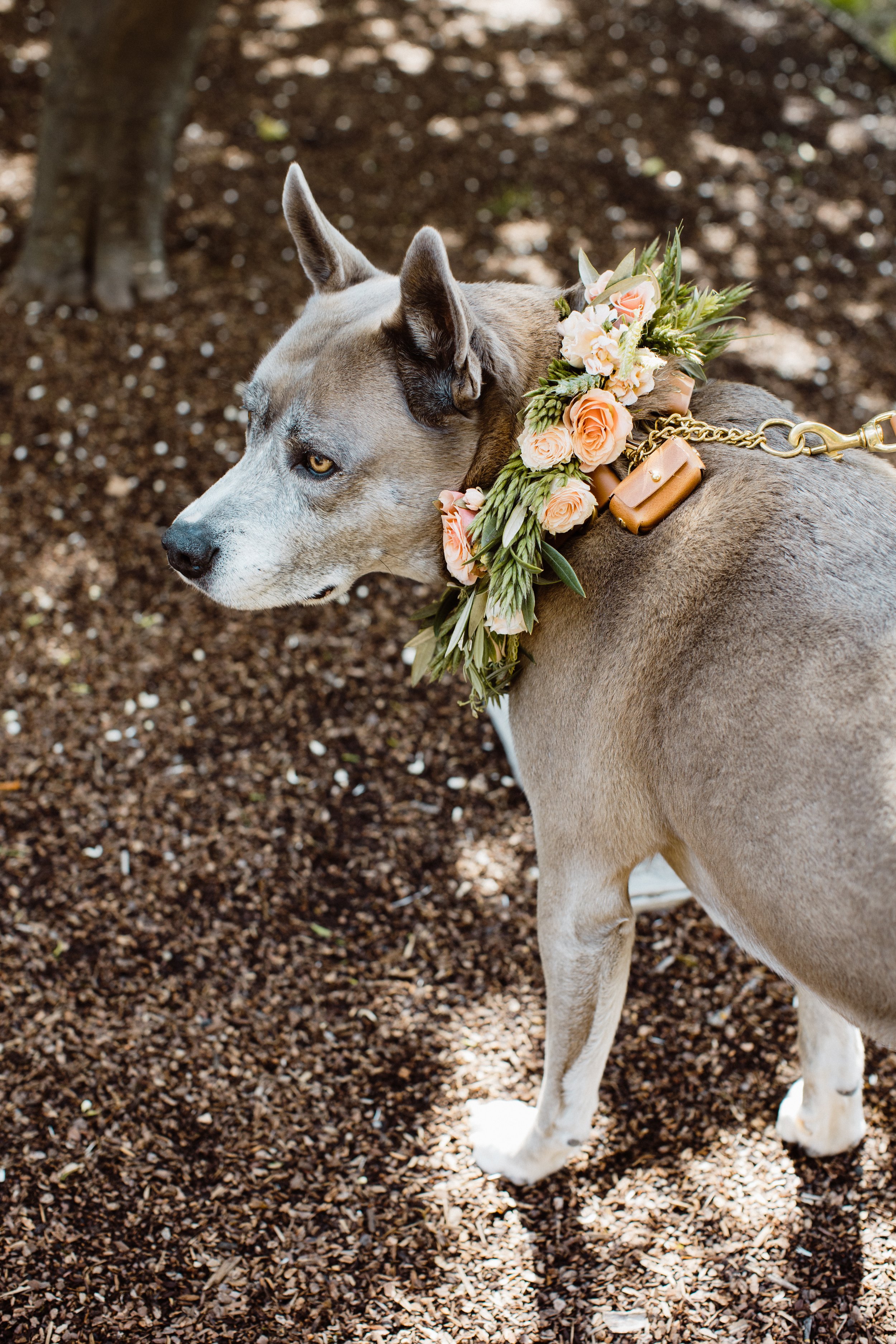 J_J_Wedding-570 3.jpg