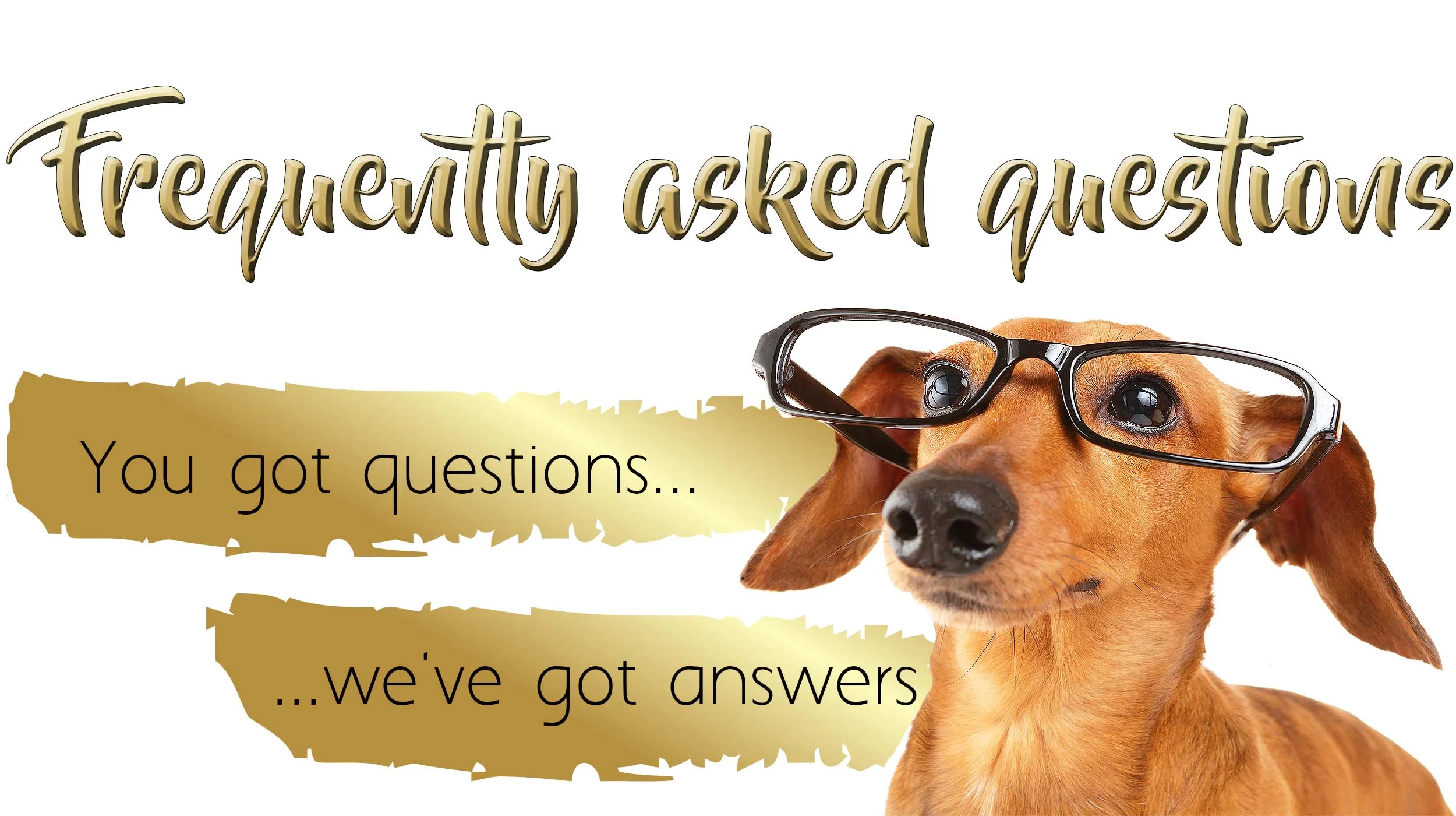 Dog daycare, boarding, and grooming questions. — Always Unleashed Pet