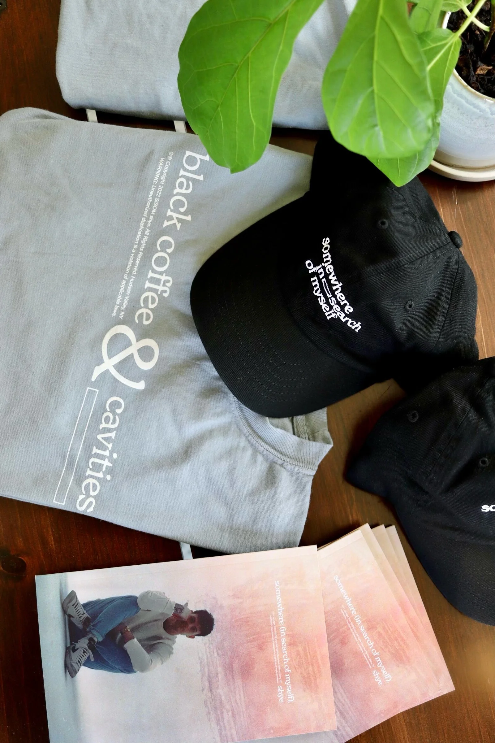 B4F6A6C0-9616-4AF4-83DC-2485F3DE6081