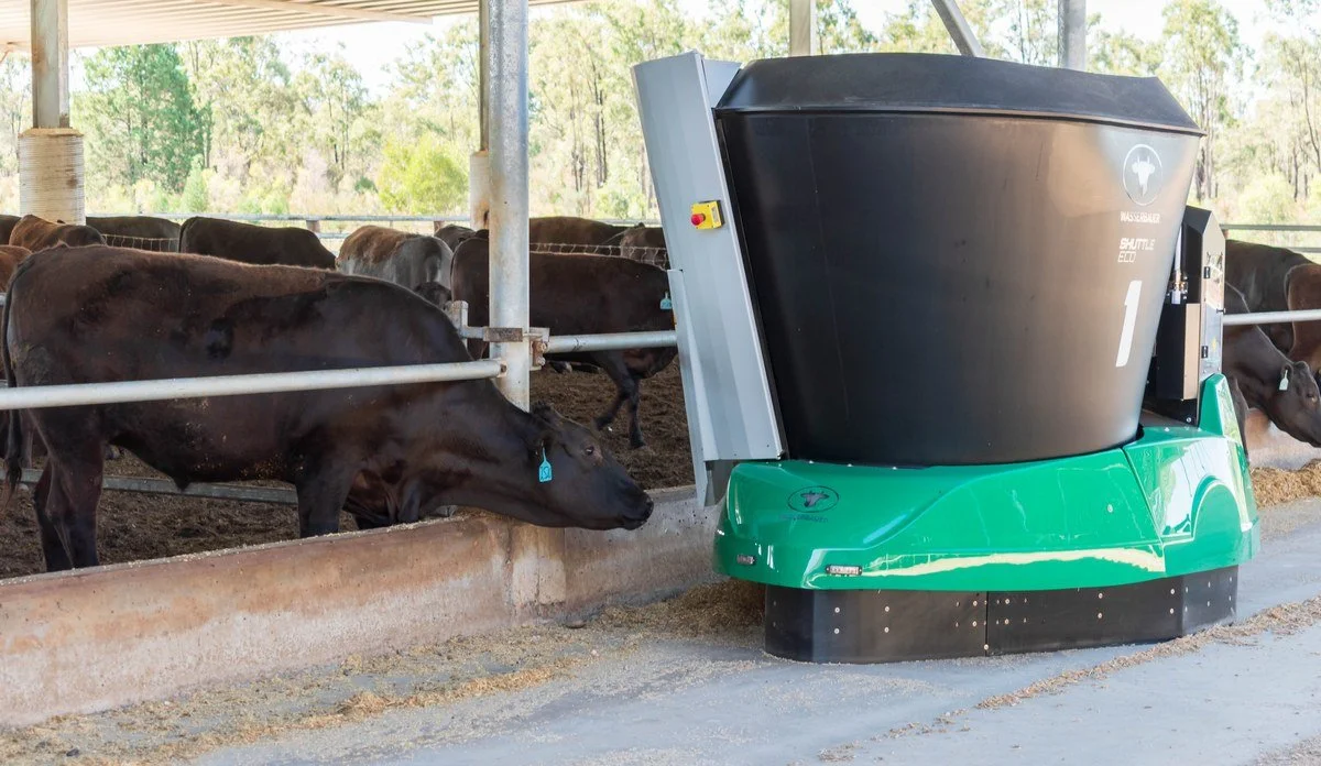 Greenline at BeefEx 2026: automated livestock feeding