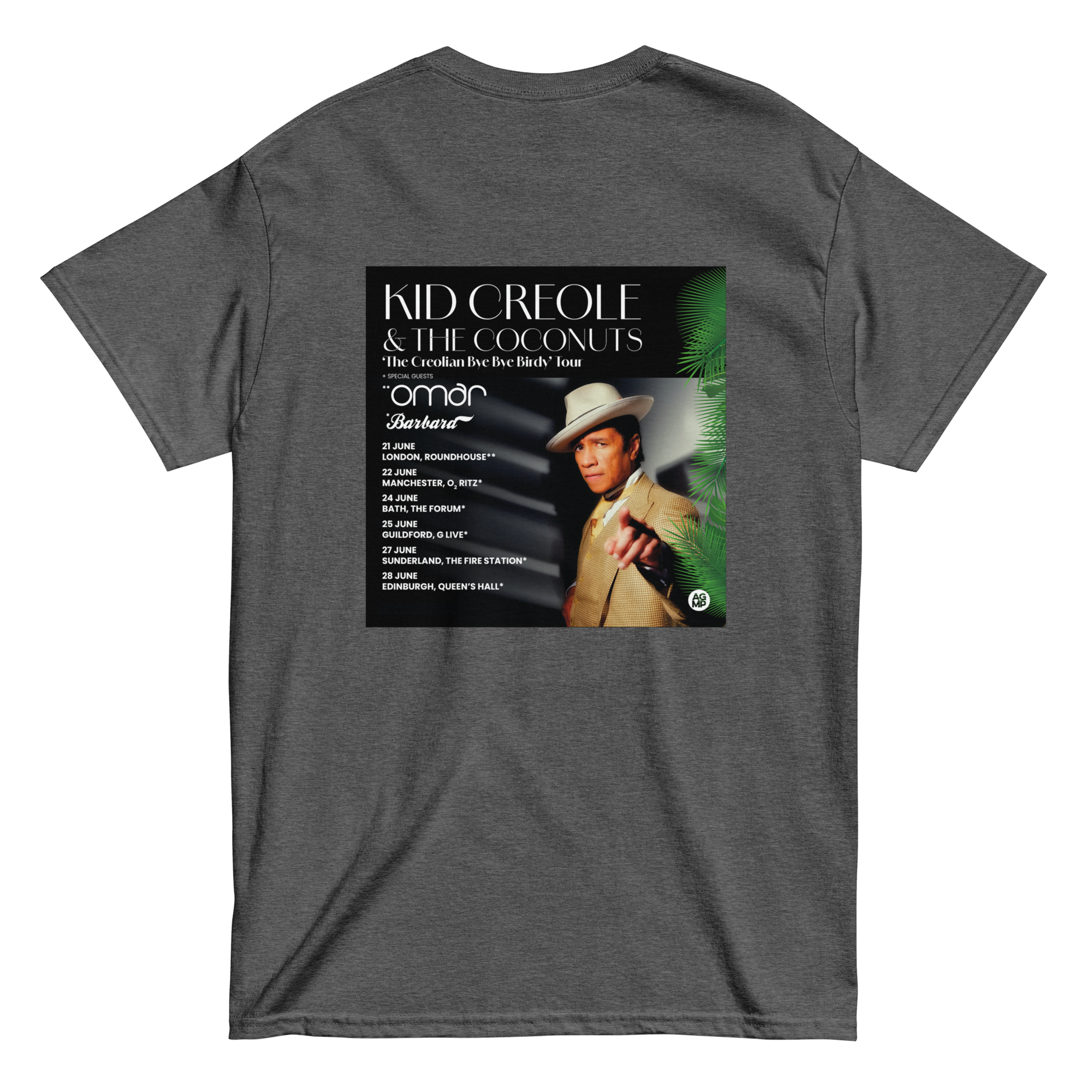 unisex-classic-tee-dark-heather-back-689ba85d774a7.png