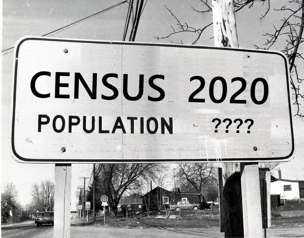 NAVIGATING THE UNDERCOUNT RISK IN CENSUS 2020