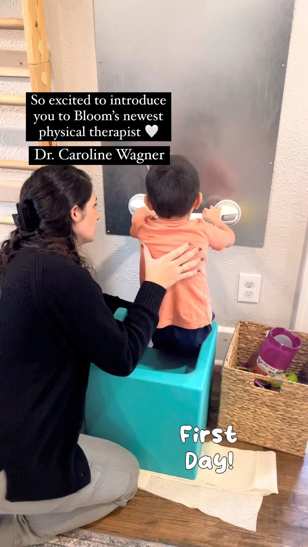 The 5 S's Functions of the Pelvic Floor — Bloom Physical Therapy and