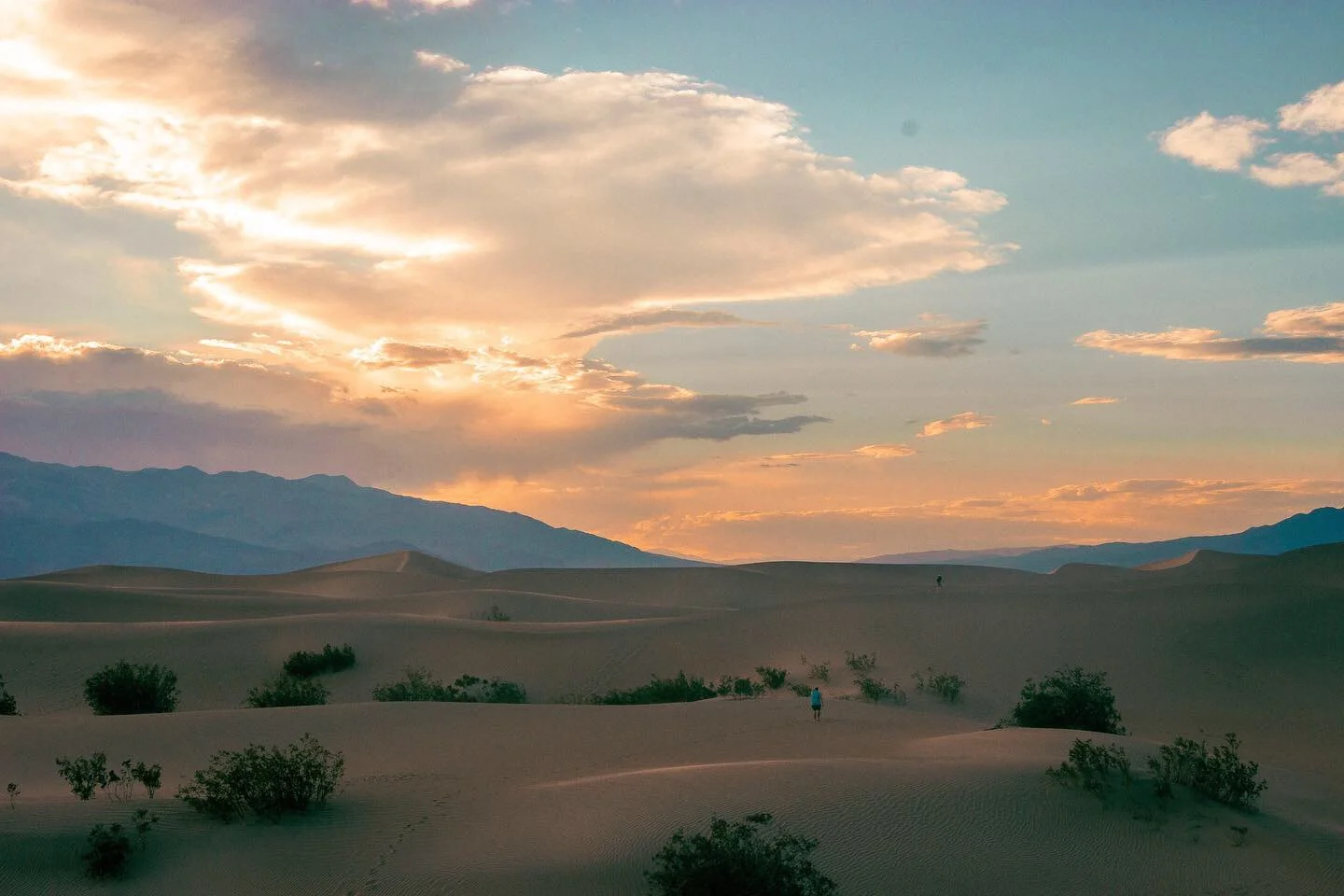 The Dunes 2/2 (2019)