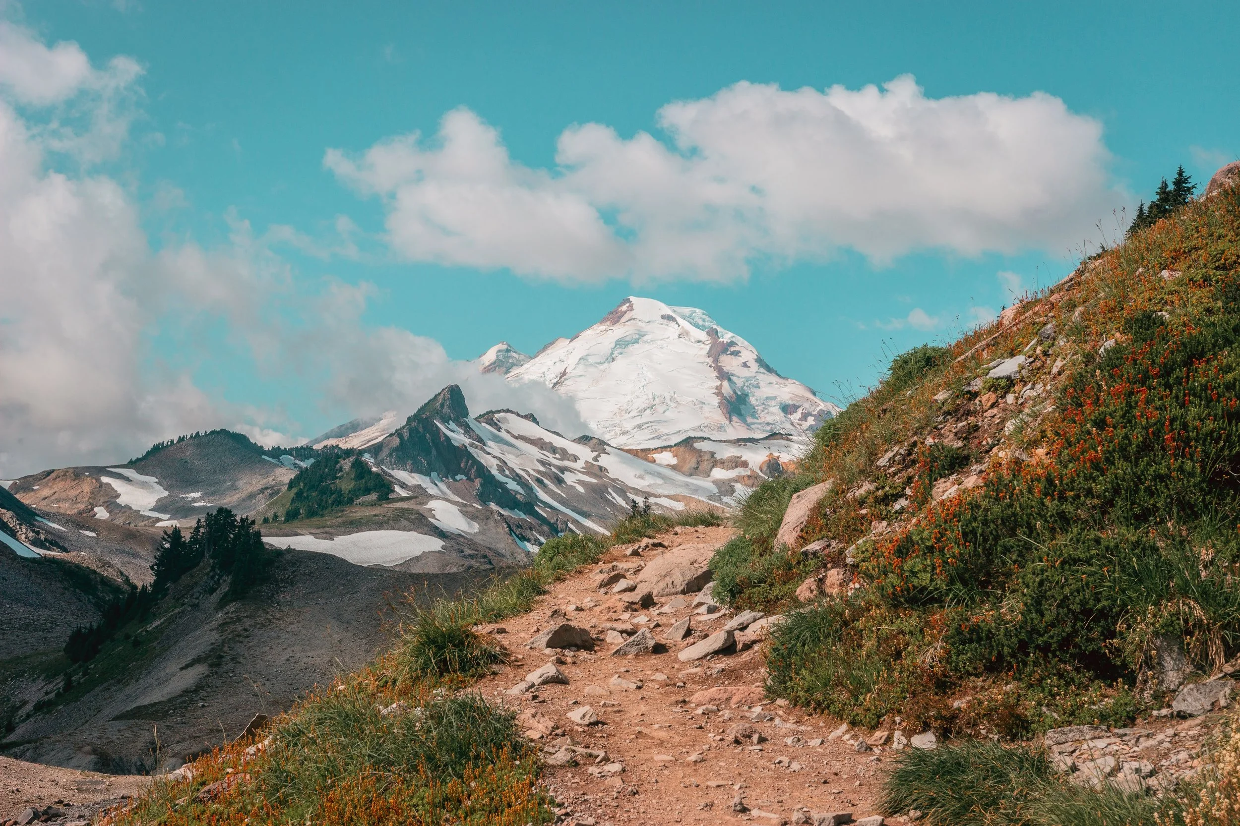 mount baker lowres (14 of 44) (1).jpg