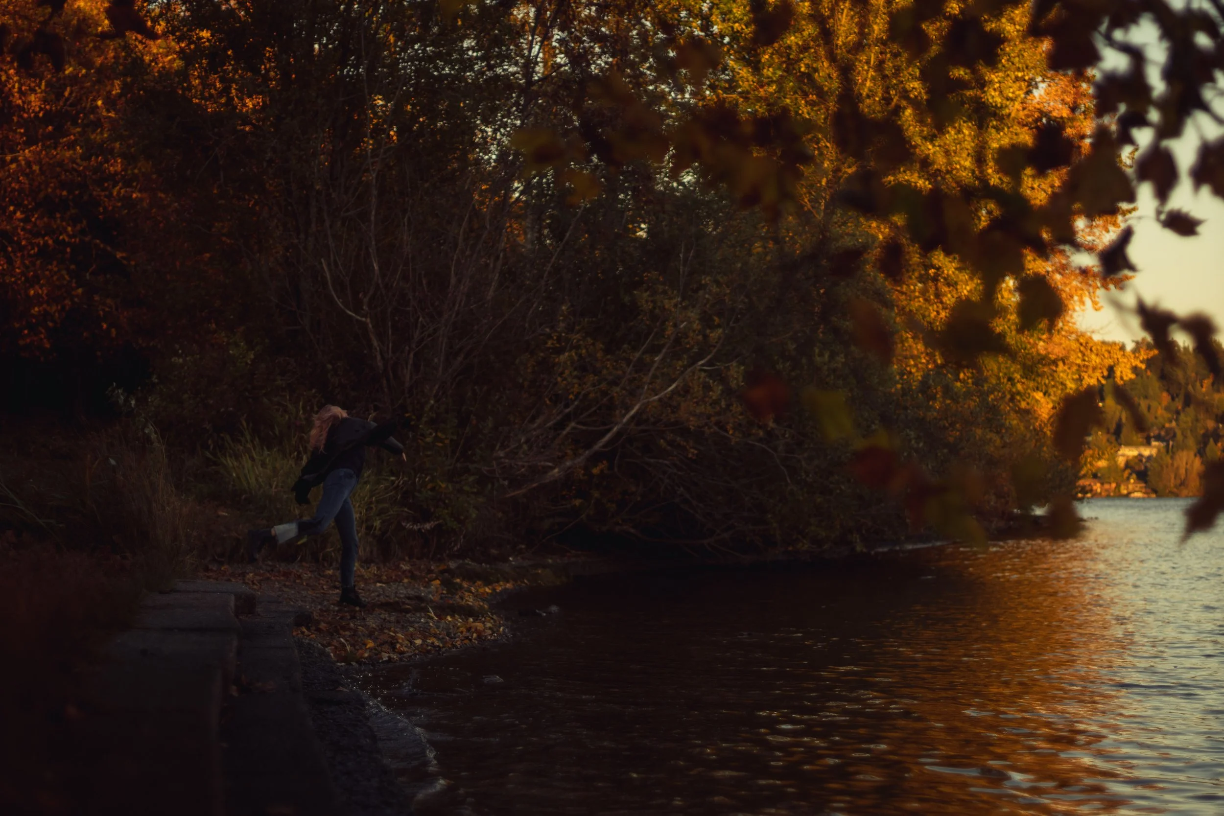 SewardPark_LR (12 of 25).jpg