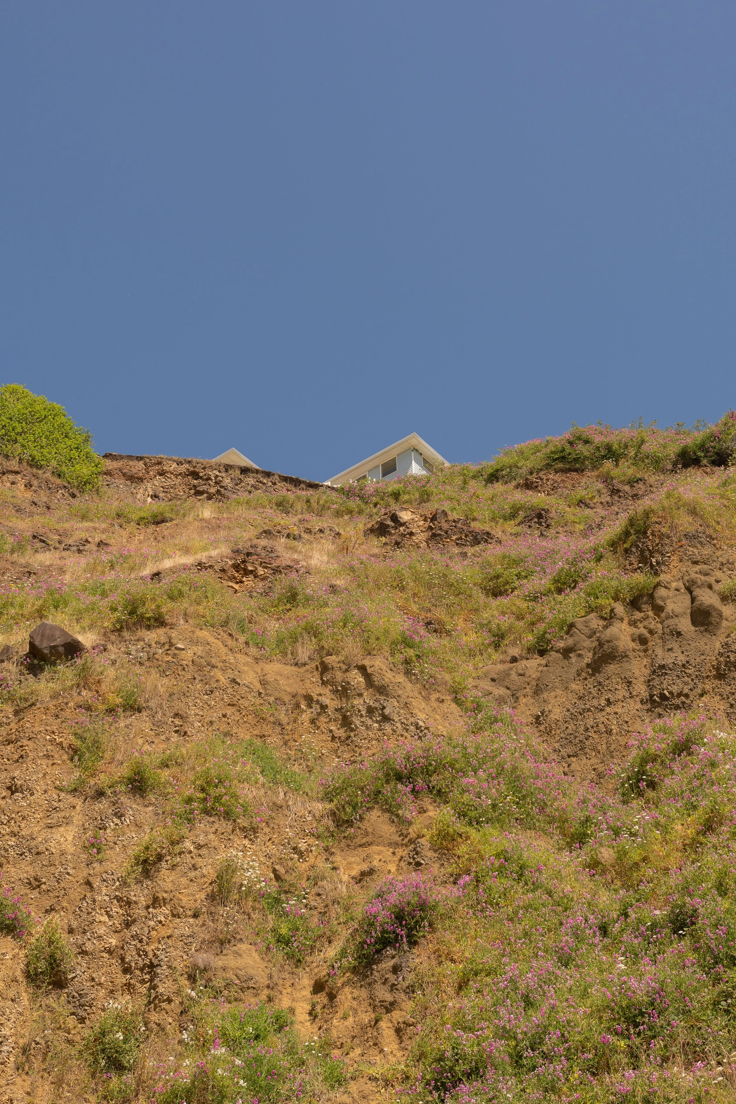PacificCity2020_LR (45 of 145).jpg