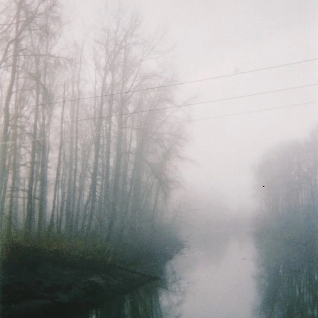 SaveVid.Net_33239832_247481302665700_3635507155399868416_n.jpg